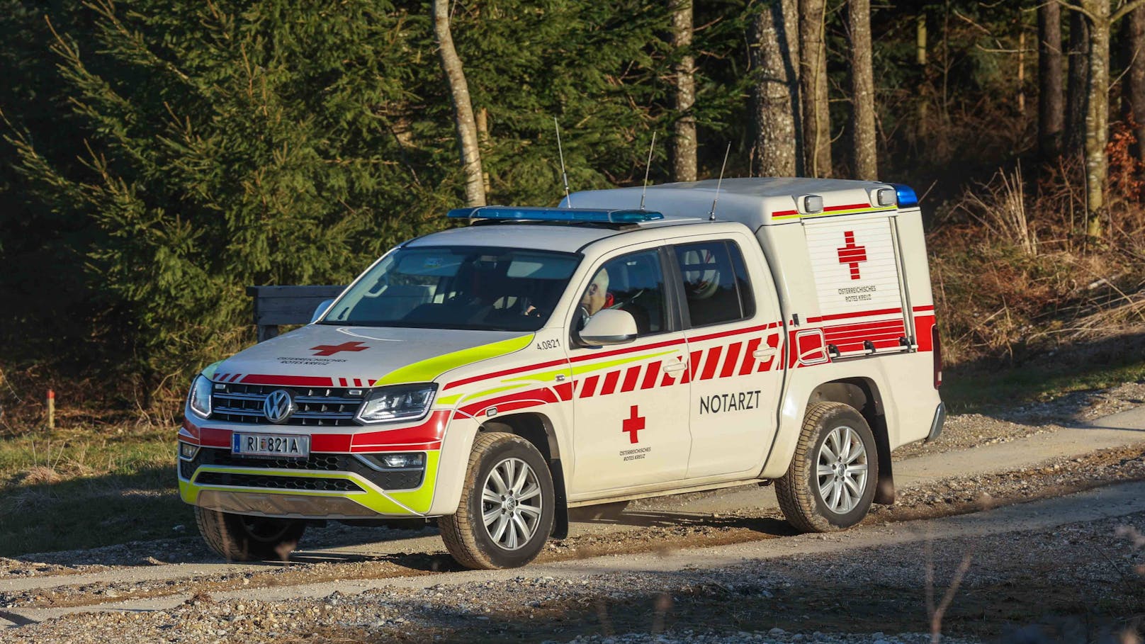 Mann (70) bei Waldarbeiten von Baum erschlagen