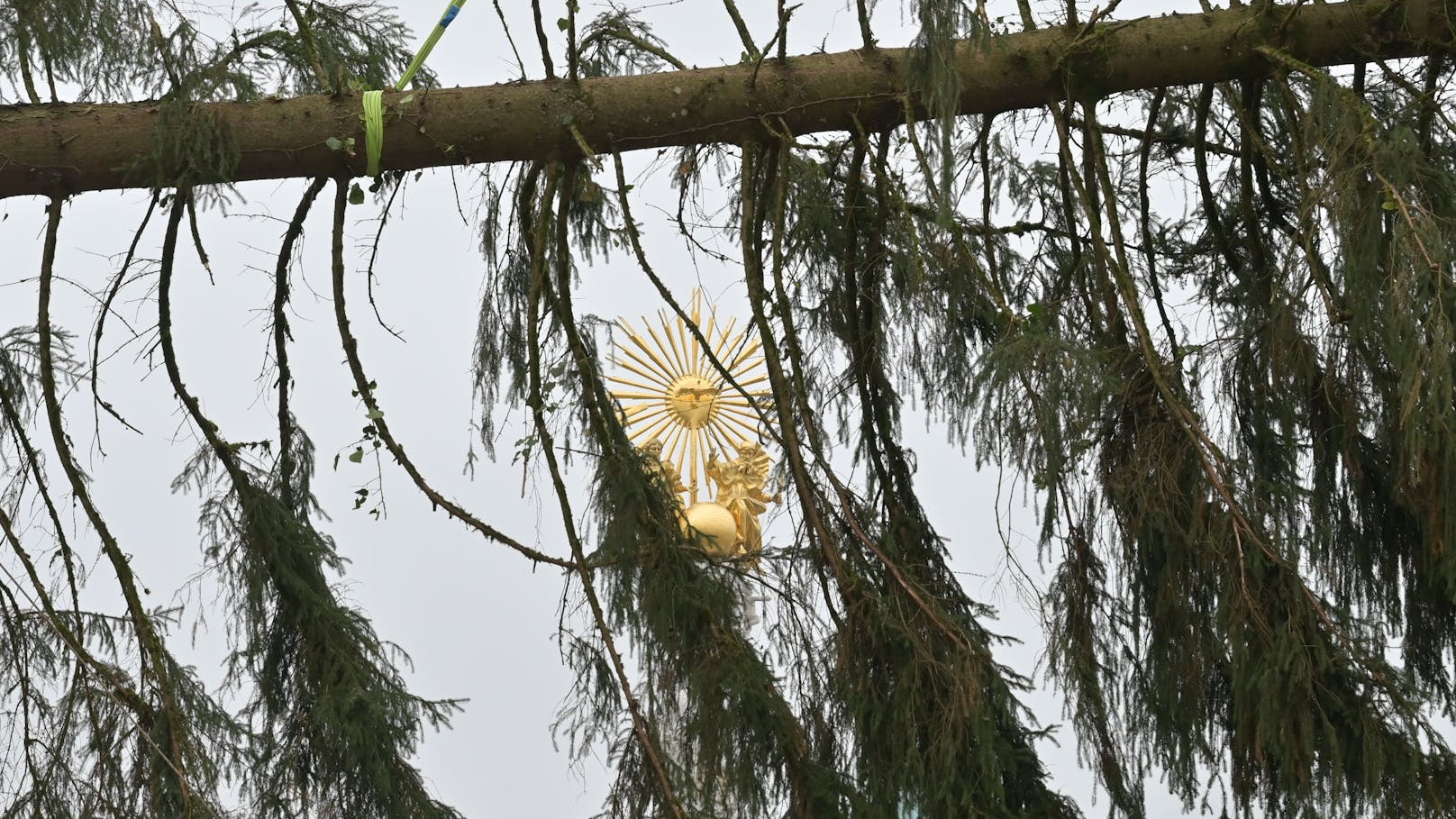 "Das Erste, das mir dazu einfällt, ist 'zerrupftes Hendl'", kommentiert eine Passantin den Baum.