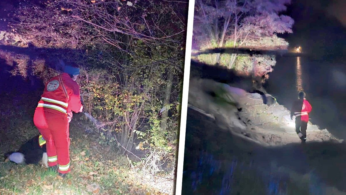 In Grein in OÖ wird ein Mann seit einer WC-Pause vermisst. Die Österreichische Rettungshundebrigade suchte Mittwochabend das Ufer vergebens ab.