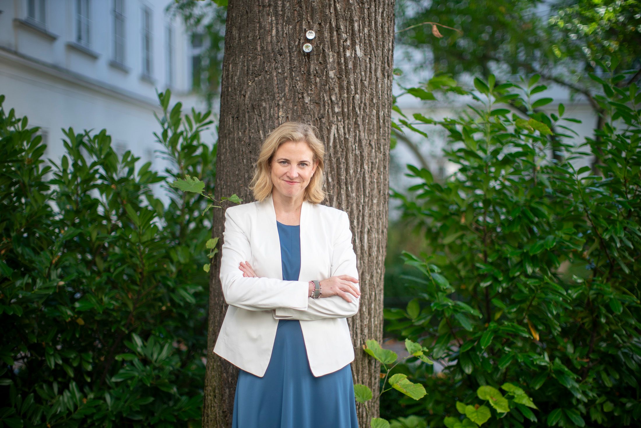 "Ich bin fassungslos": Stellen die NEOS der Ömpel einen Baum auf?