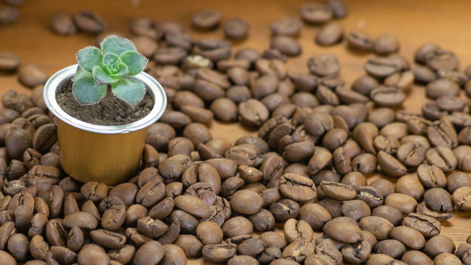 Umweltfreundlicher Kaffeegenuss ohne Kompromisse