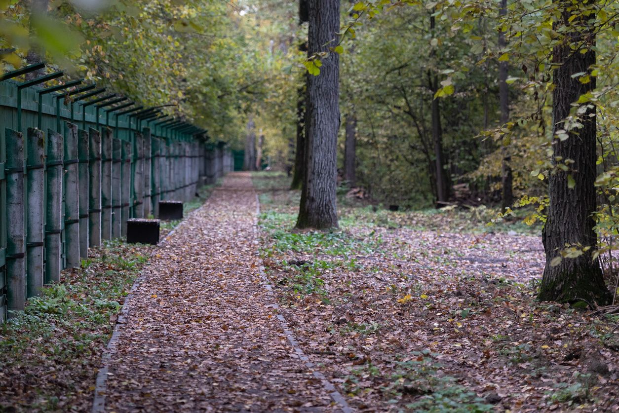 Beim KZ Langenstein-Zwieberge sollen jetzt Luxusunterkünfte gebaut werden. (Symbolbild)