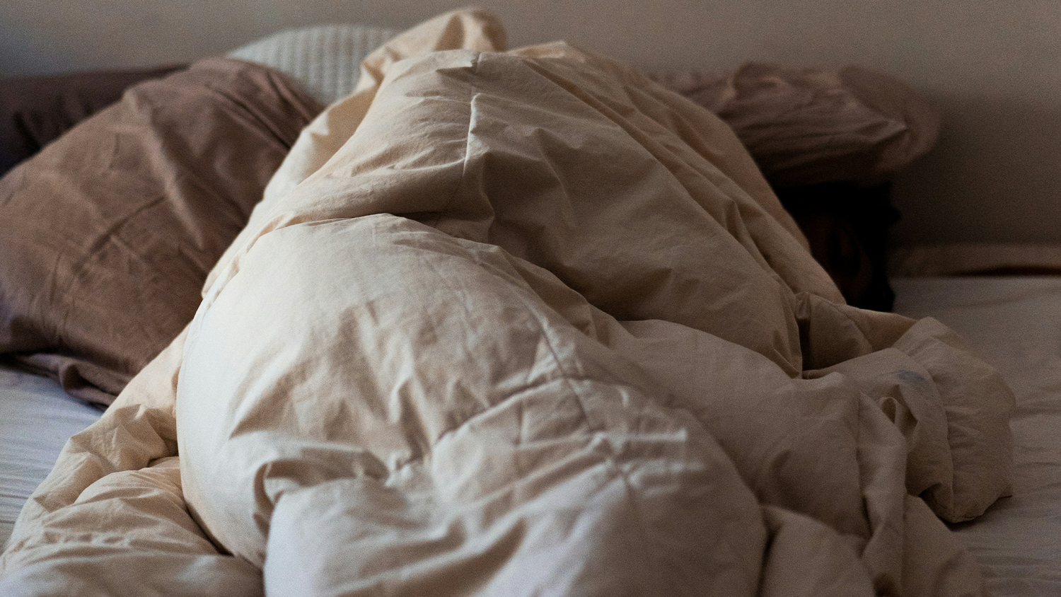 Der Fluchtversuch eines Einbrechers misslang. Er wurde unter einer Bettdecke gefunden (Symbolbild).