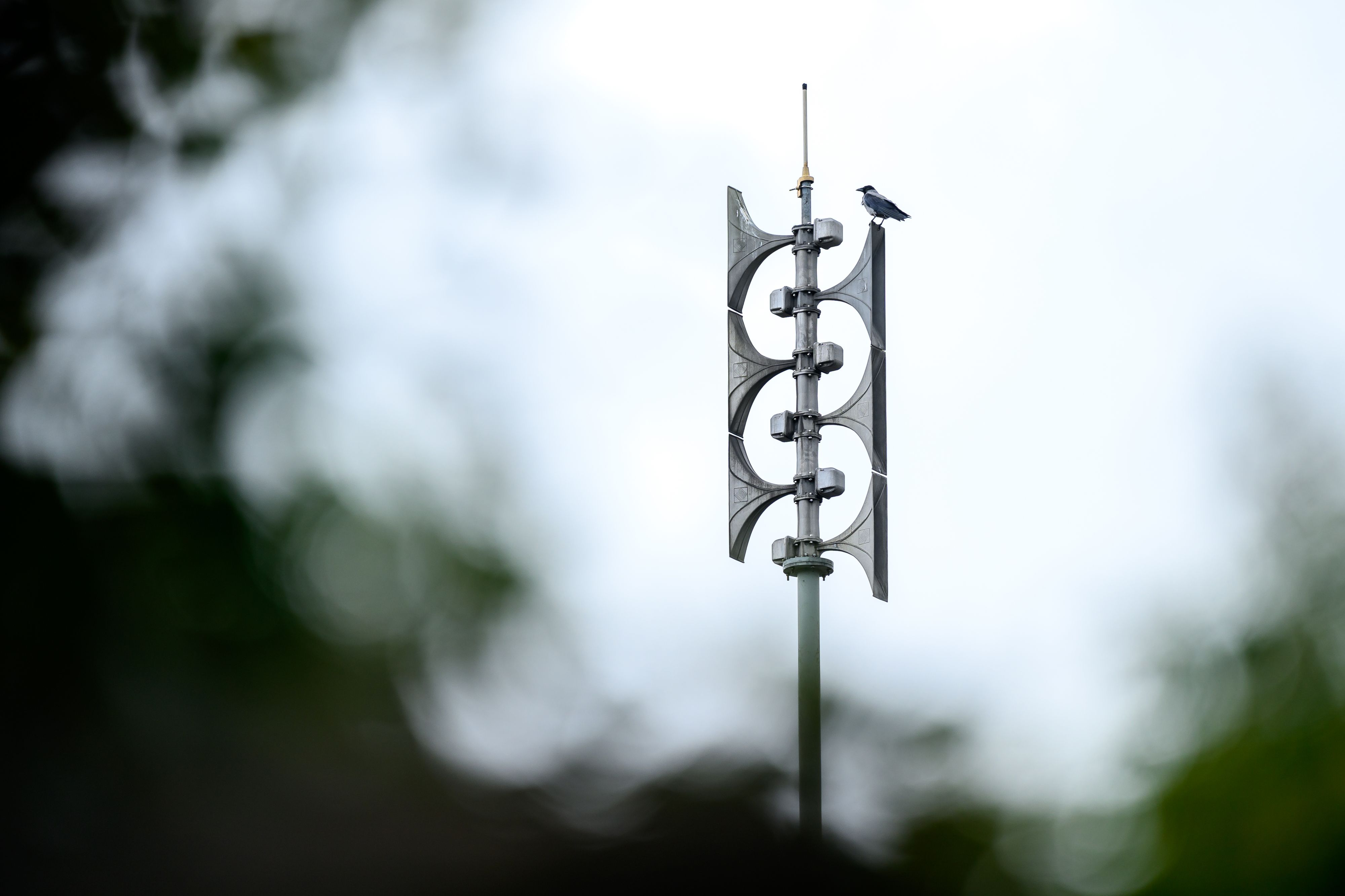 In Wien war Samstagfrüh vielerorts ein Sirenen-Alarm zu hören.