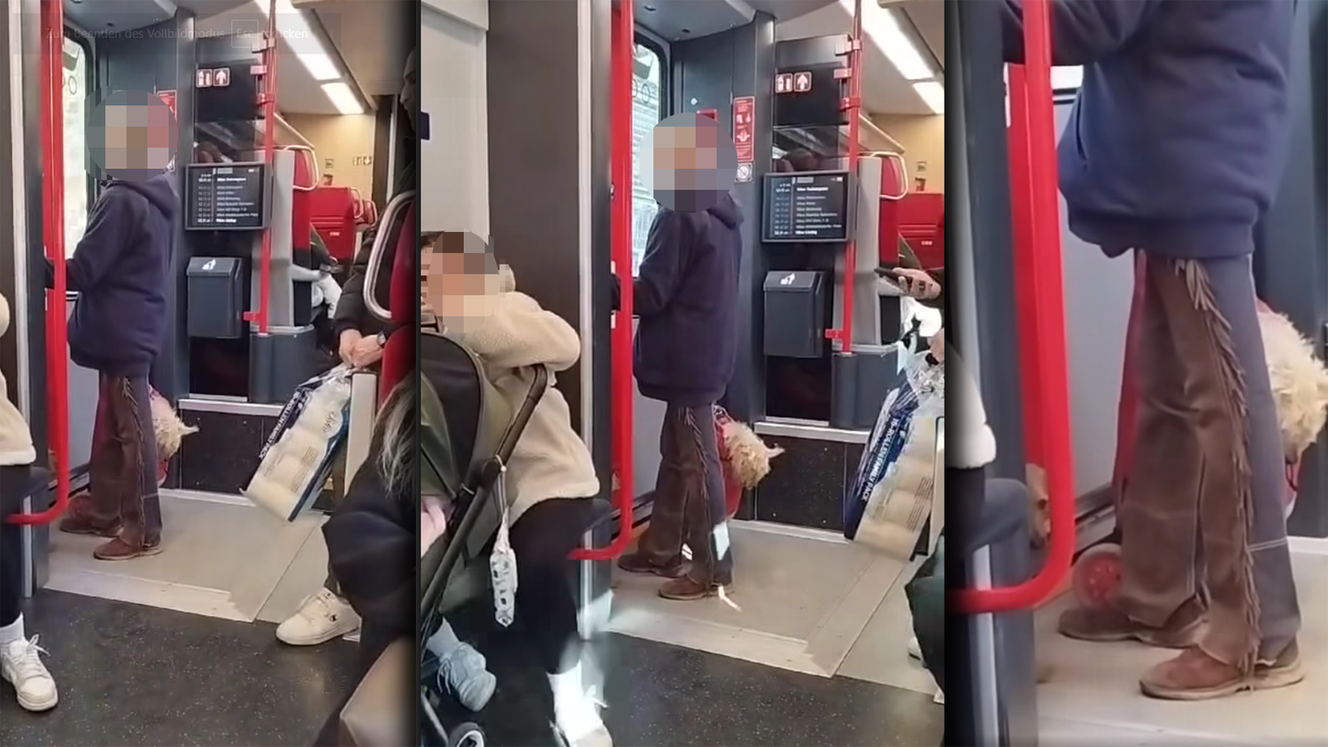 Diese Aufnahmen schockieren: Eine Dame transportierte ihren reglosen Hund in einem Trolley, soll ihren anderen Hund (links) gequält haben.