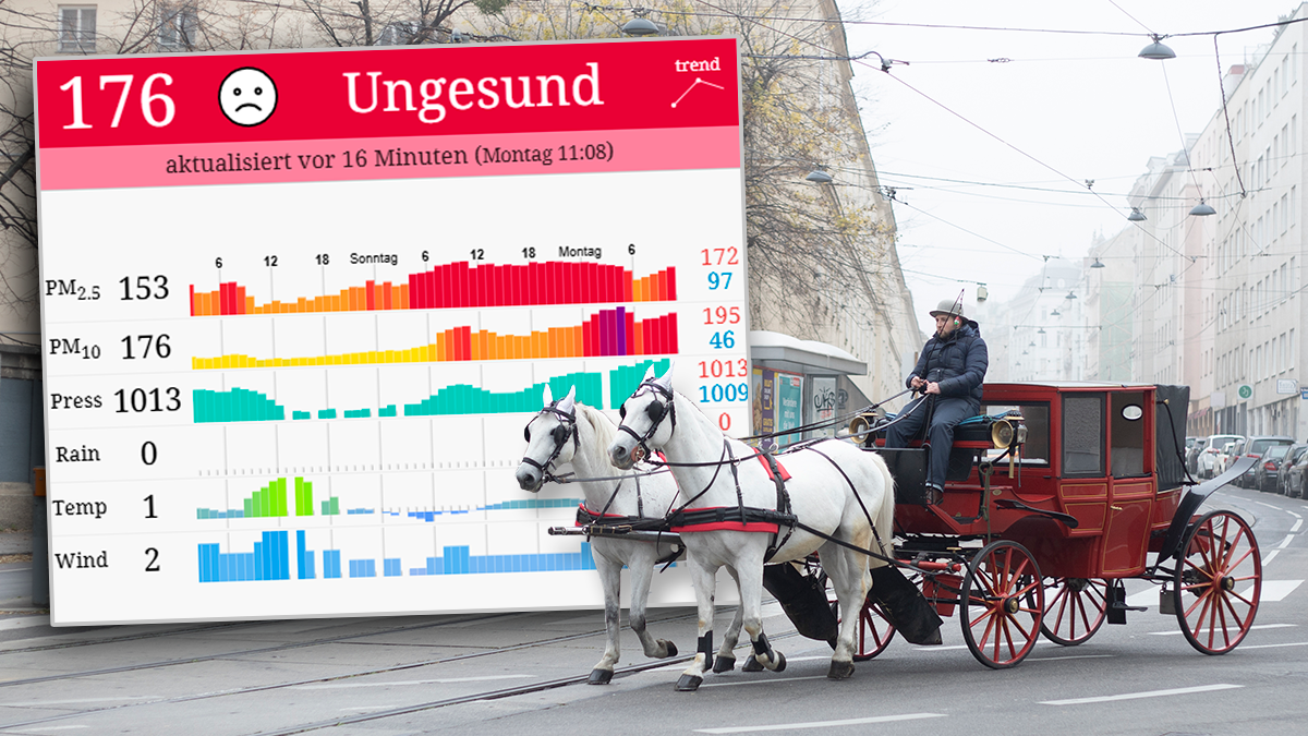 Am 11. November 2024 wurden in weiten Teilen Wiens die Feinstaubgrenzwerte überschritten. Im Bild die Daten der Messstation Ziegelhofstraße (22., Breitenlee).