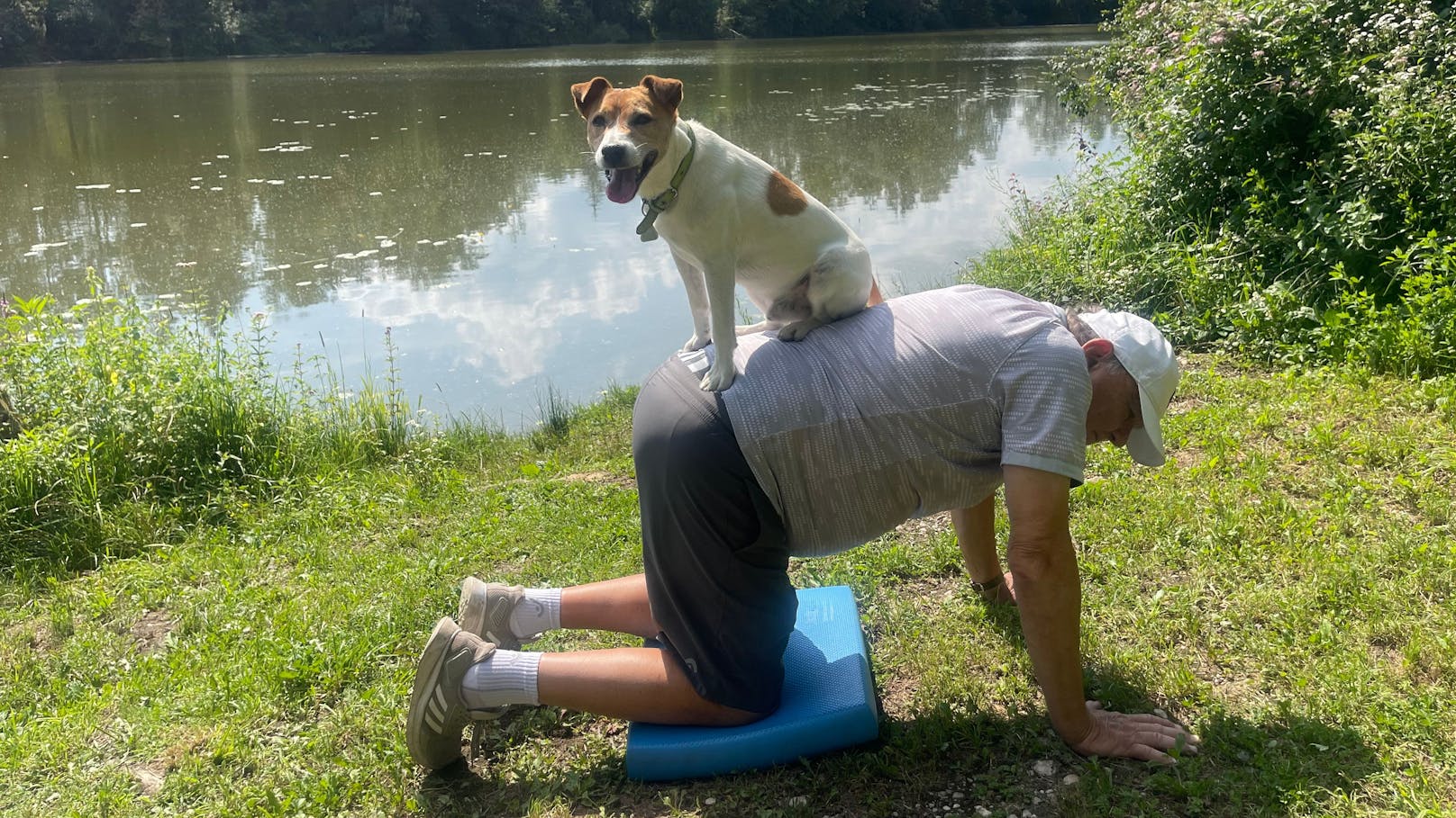 Auch bei Gleichgewichtsübungen macht der Hund mit.