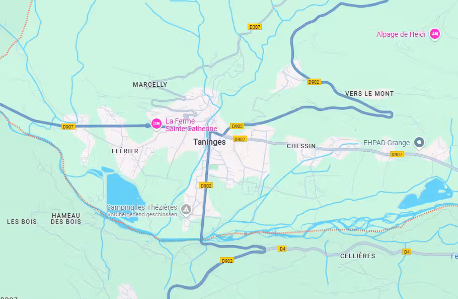 Der schreckliche Vorfall soll sich in Taninges ereignet haben.