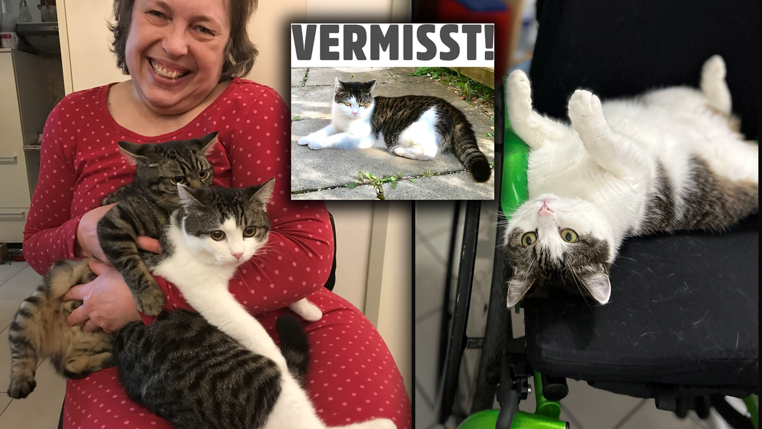 Seit drei Jahren sind Karin und ihre zwei Katzen unzertrennlich. Nun fehlt von Kater Valentin jede Spur.