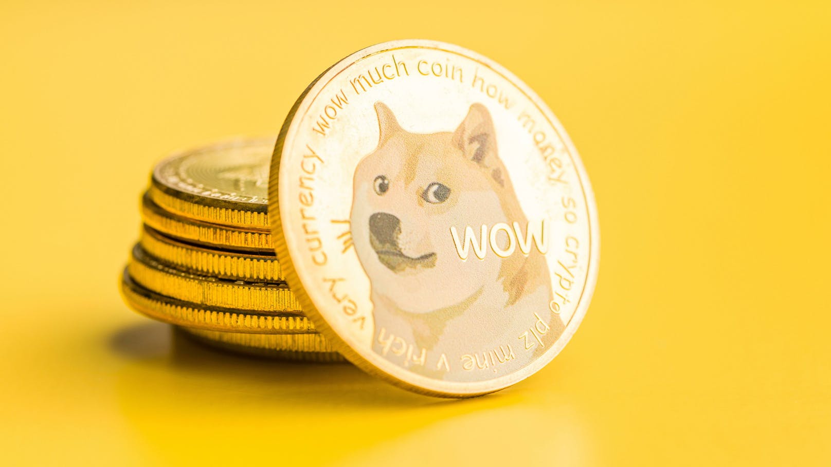 Elon Musk ist Mega-Fan der Meme-Kryptowährung "Doge" bzw. "Dogecoin"