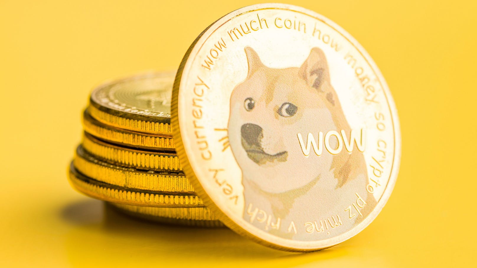 Elon Musk ist Mega-Fan der Meme-Kryptowährung "Doge" bzw. "Dogecoin"