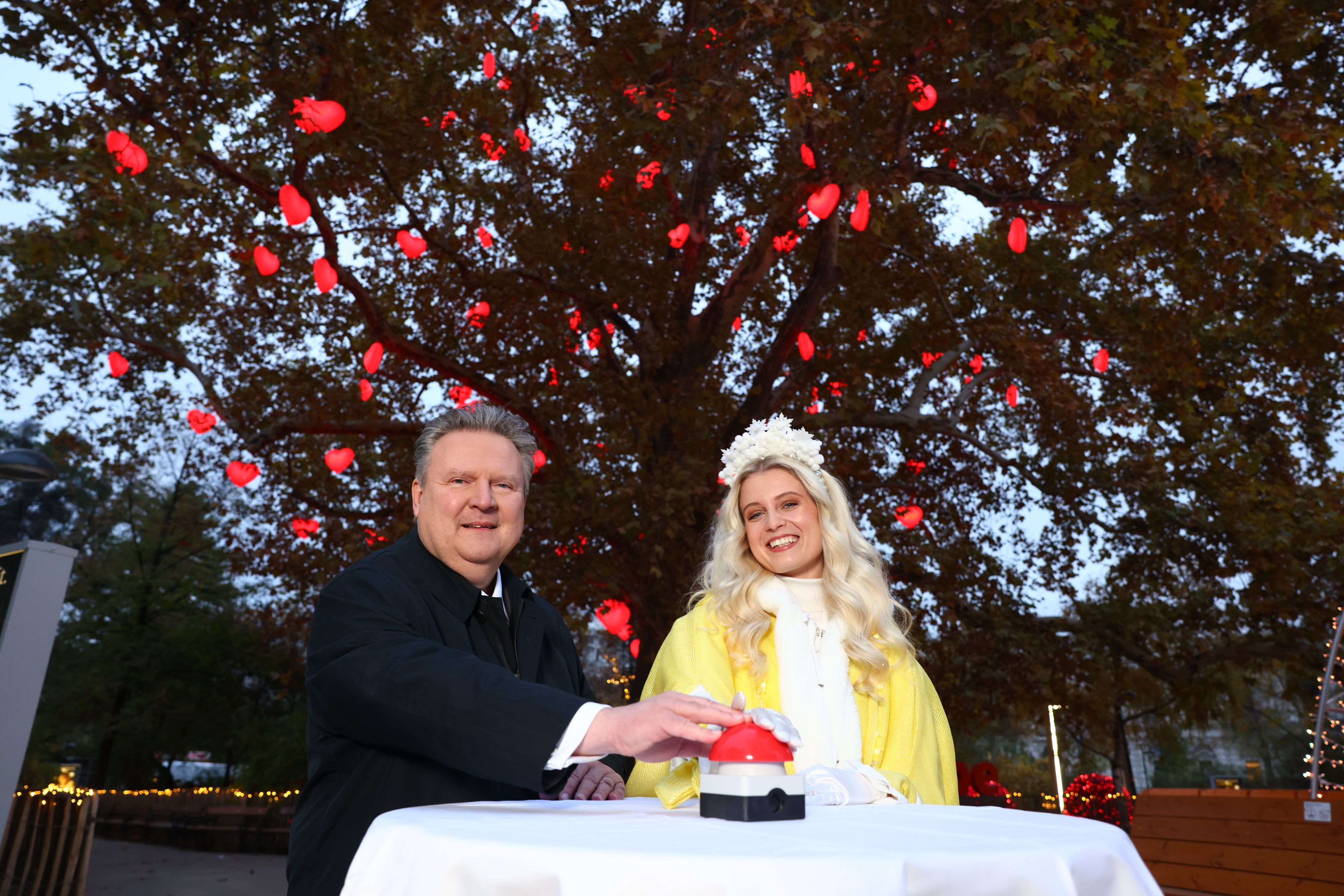 Bürgermeister Michael Ludwig (SPÖ) und das 