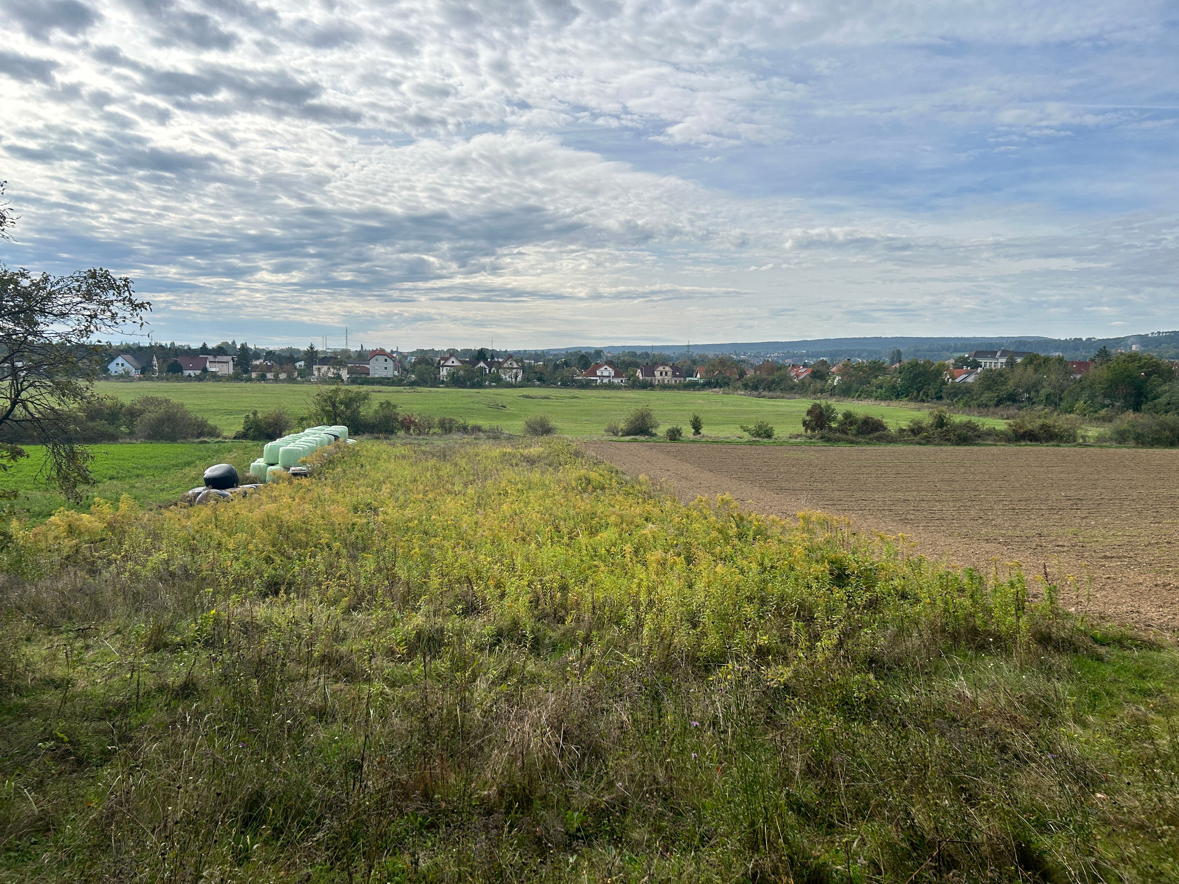Auf der Winnetou-Wiese sollen bis heute Überreste des Gefangenenlagers zu finden sein.