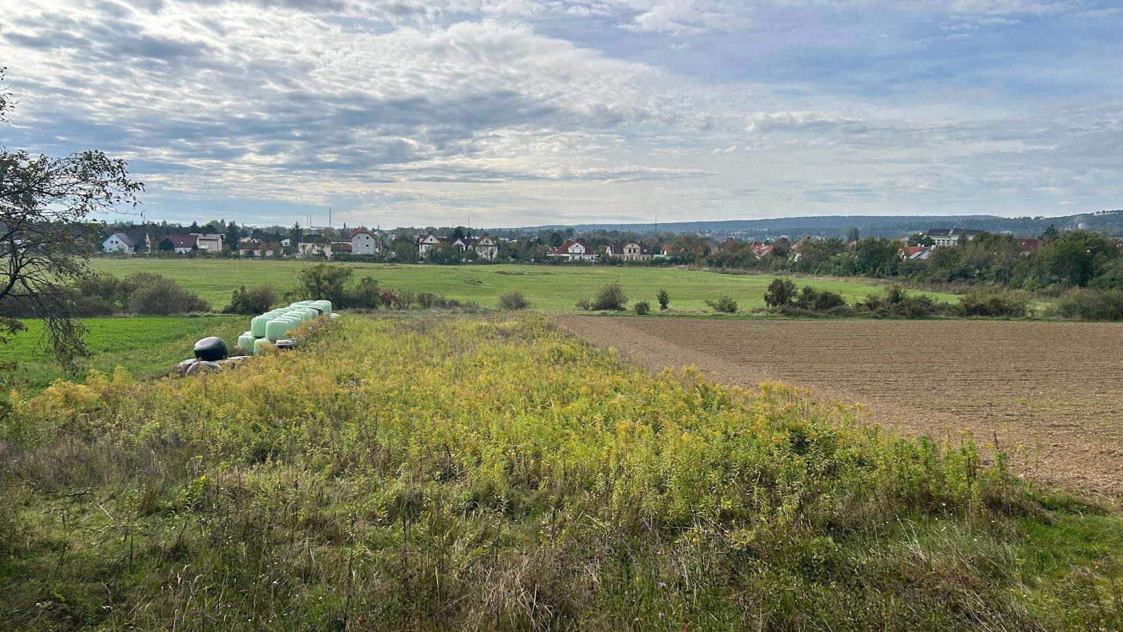 Auf der Winnetou-Wiese sollen bis heute Überreste des Gefangenenlagers zu finden sein.