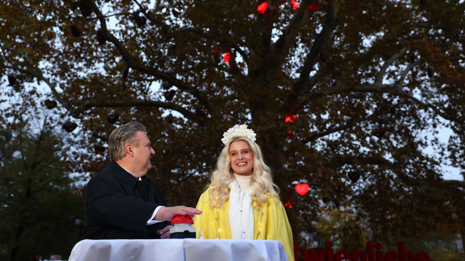 Drei, zwei, eins, der Herzerlbaum hat die Generalprobe bestanden.