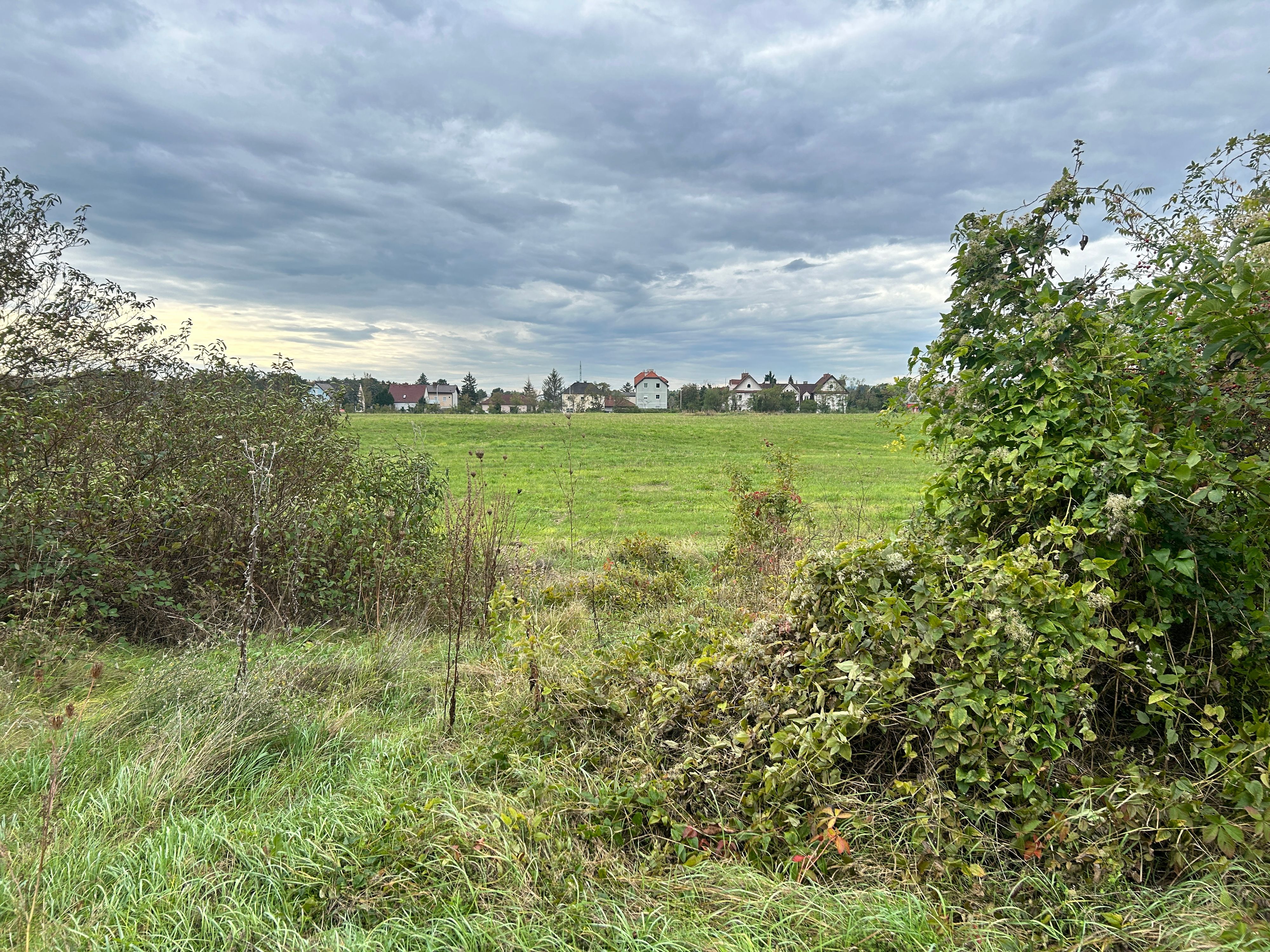 Auf der Winnetou-Wiese soll ein Gewerbepark entstehen. Auf Areal befand sich zur NS-Zeit ein Frauen-KZ.