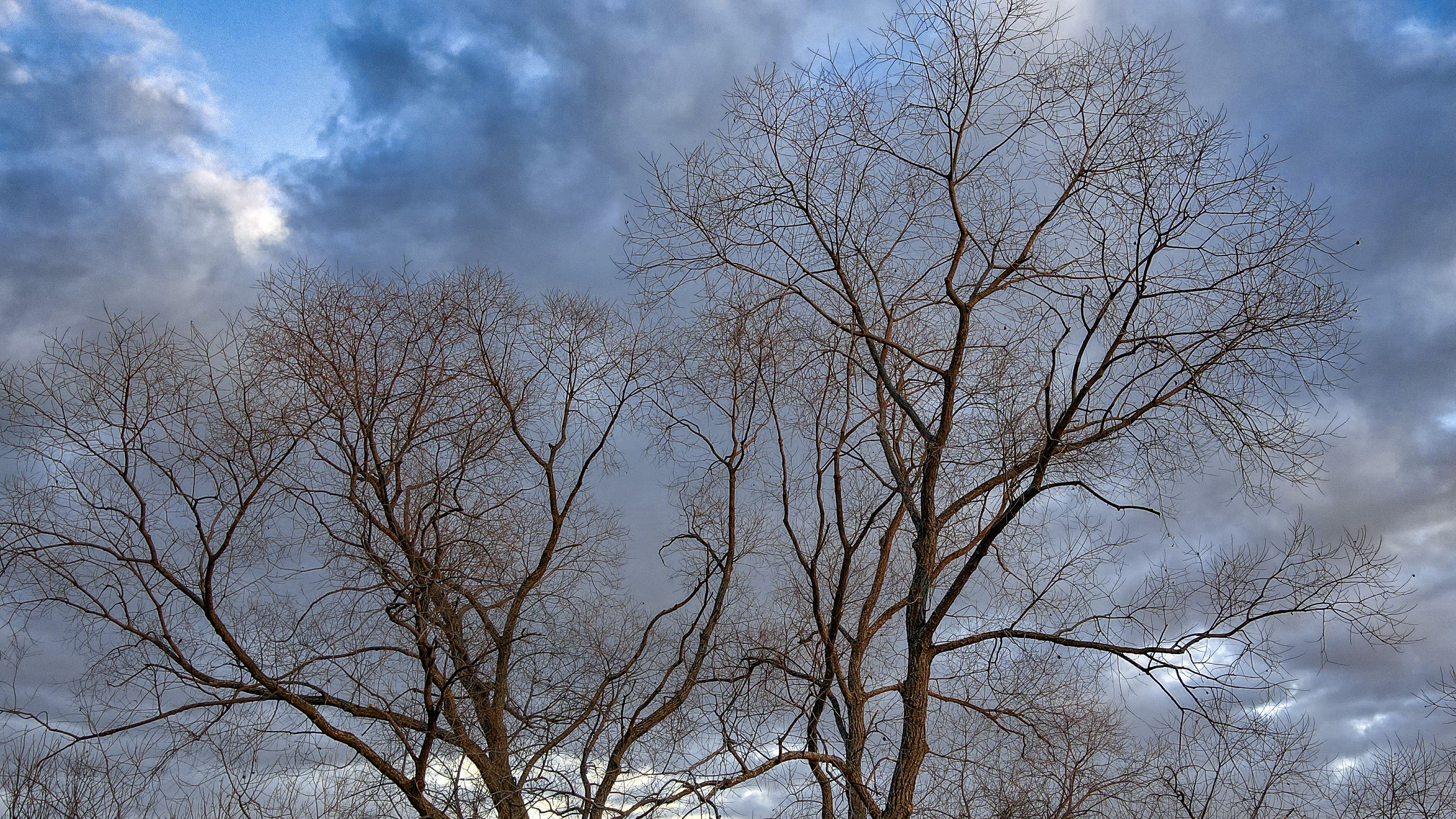 Am Sonntag zieht erneut eine Kaltfront durch Österreich. (Symbolbild)