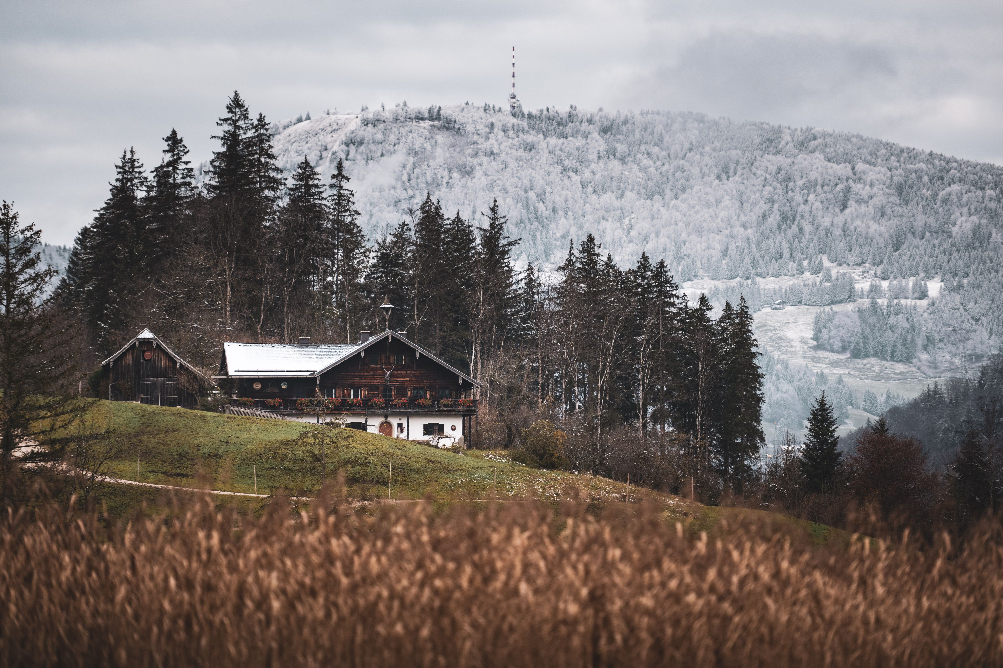 Wetterumschung und Neuschnee auf der Südseite des Gaisberges, rund um das Egelseemoor und dessen umliegenden Wälder im Herbst am 14.11.2024.
