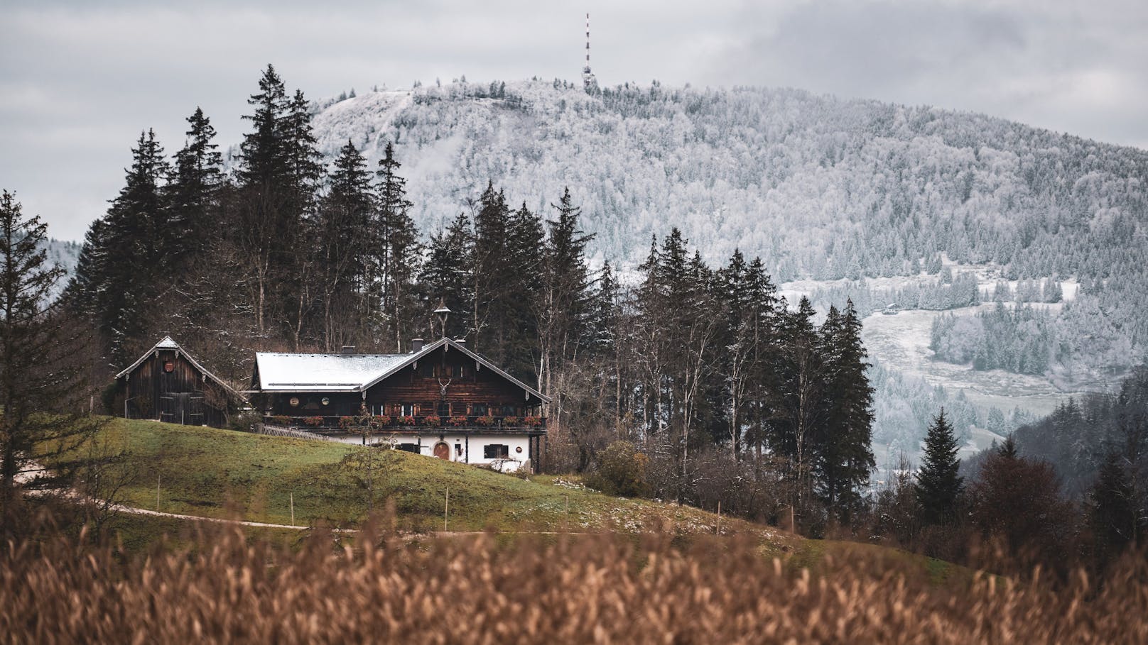 Schneefallgrenze sinkt – wo Österreich jetzt weiß wird