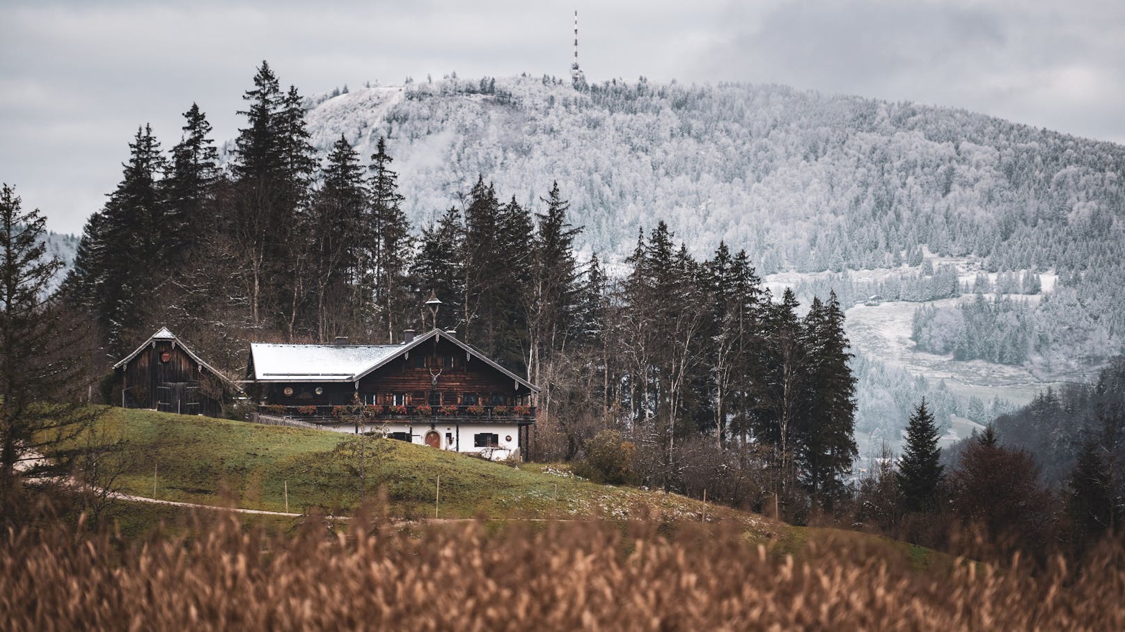 Wetterumschung und Neuschnee auf der Südseite des Gaisberges, rund um das Egelseemoor und dessen umliegenden Wälder im Herbst am 14.11.2024.