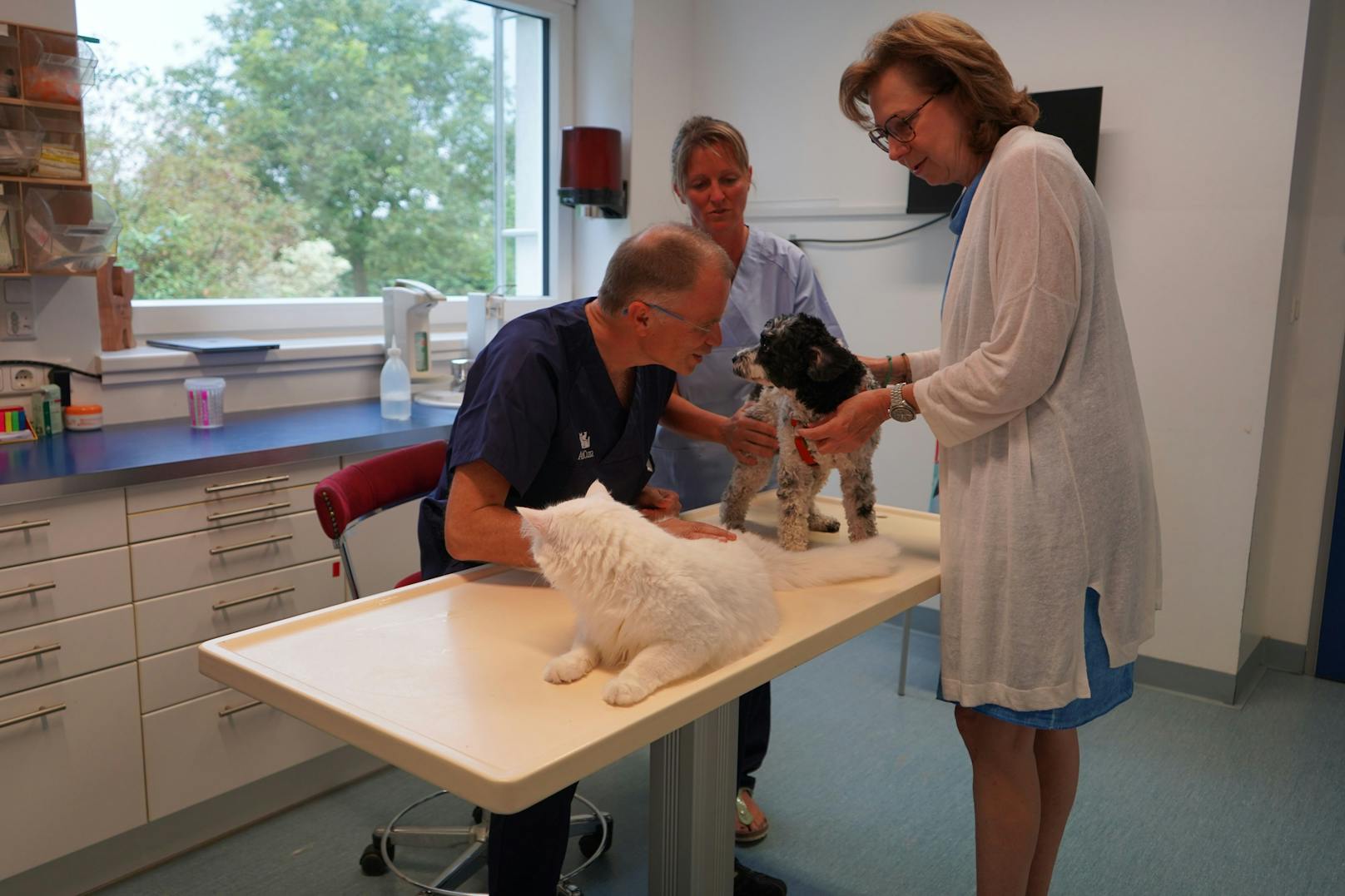 Klinikkatze "Watte" unterstützt bei den Untersuchungen.