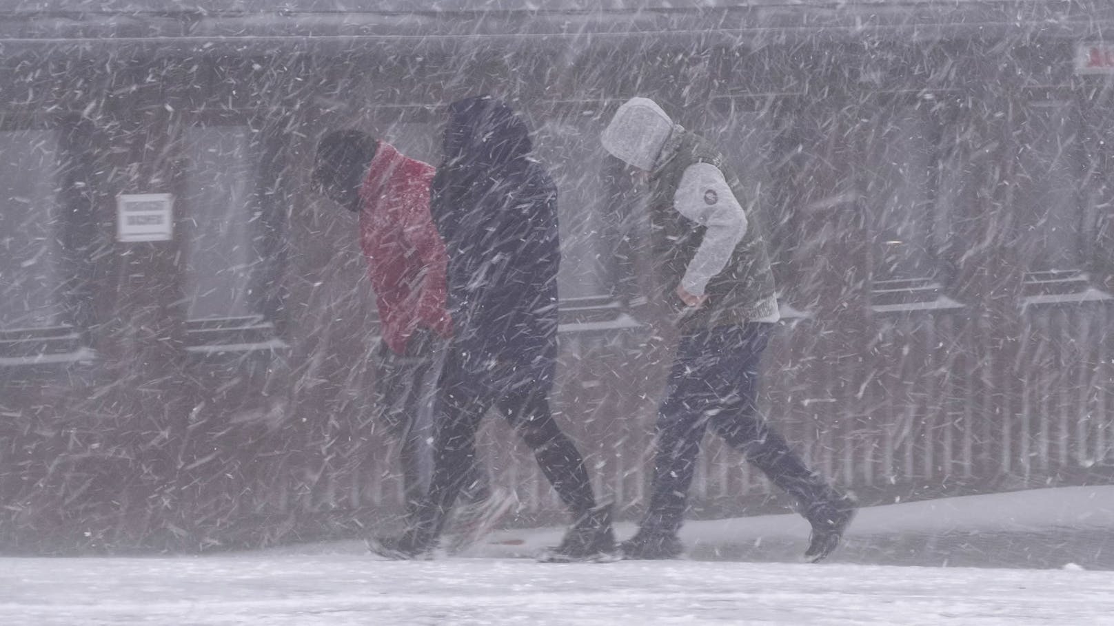 Schnee und Kälte – wo Österreich jetzt weiß wird