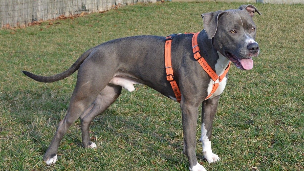 Erwin ist ein wahrer Küsserkönig.