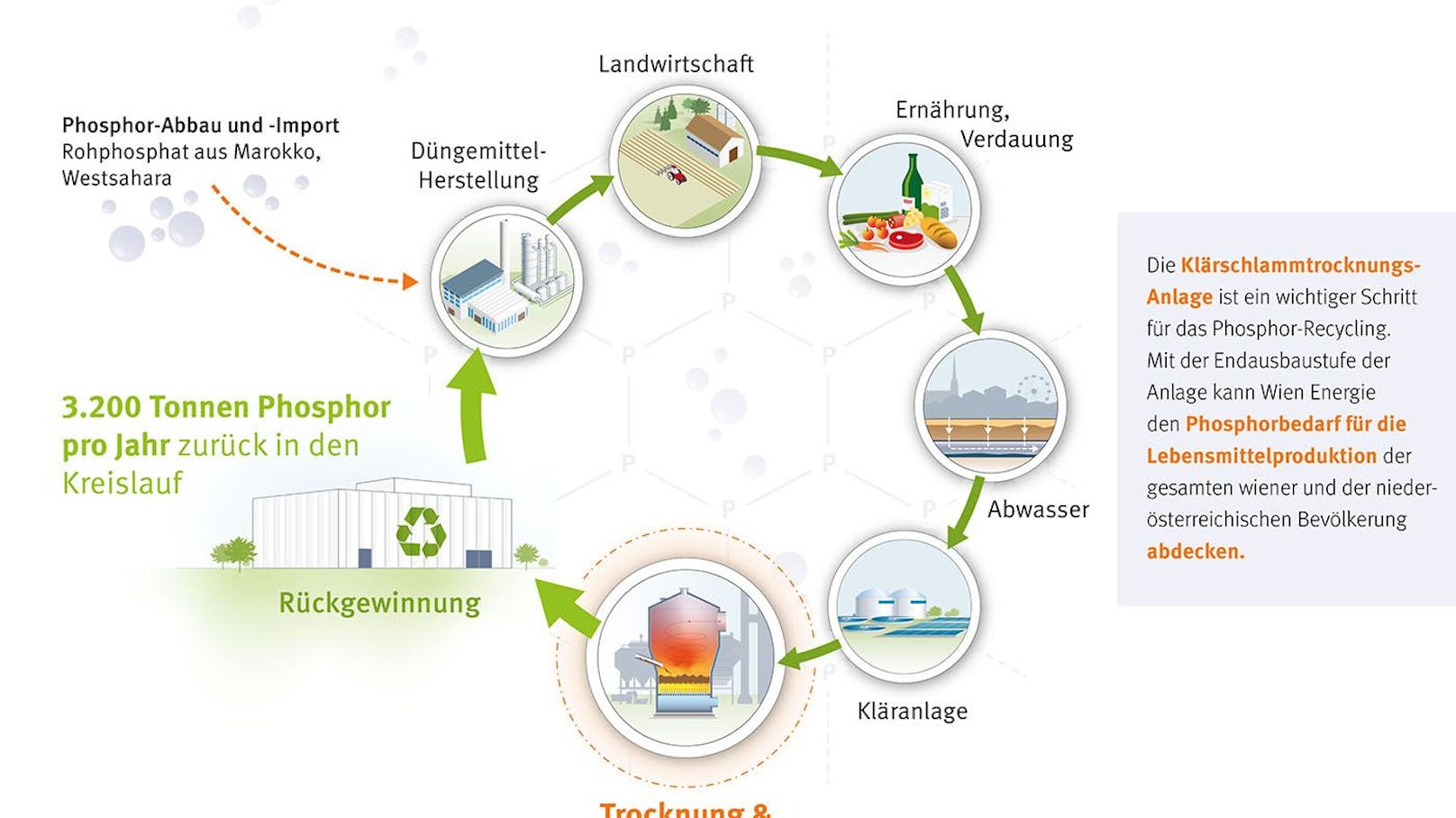 Mit der Trocknung des Klärschlamms soll in Sachen Phosphor die bestehende Lücke in der Kreislaufwirtschaft geschlossen werden.