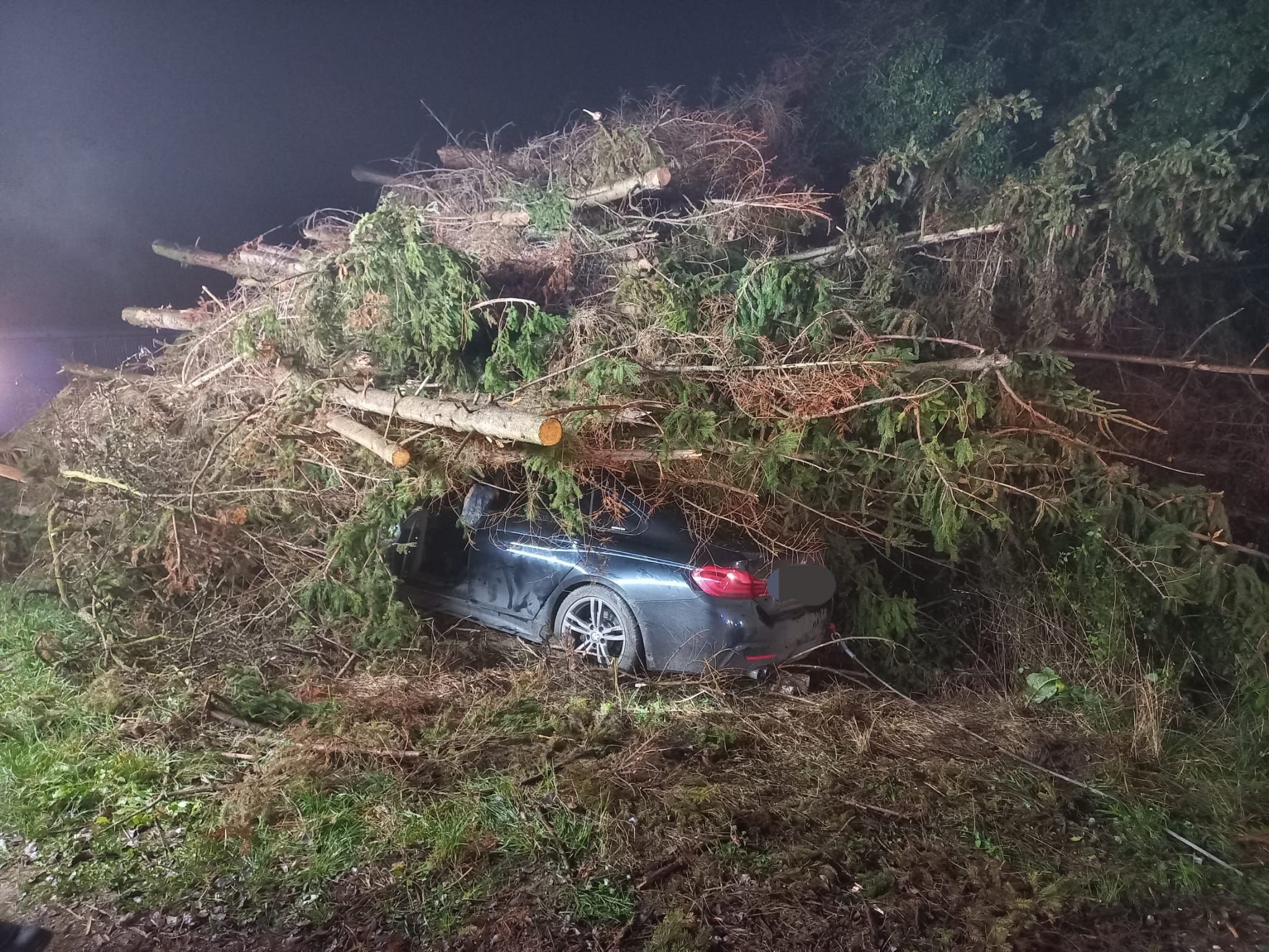 Crash gegen Holzhaufen