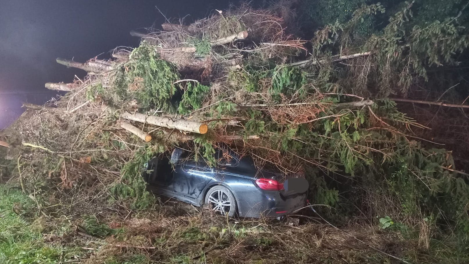 Crash gegen Holzhaufen