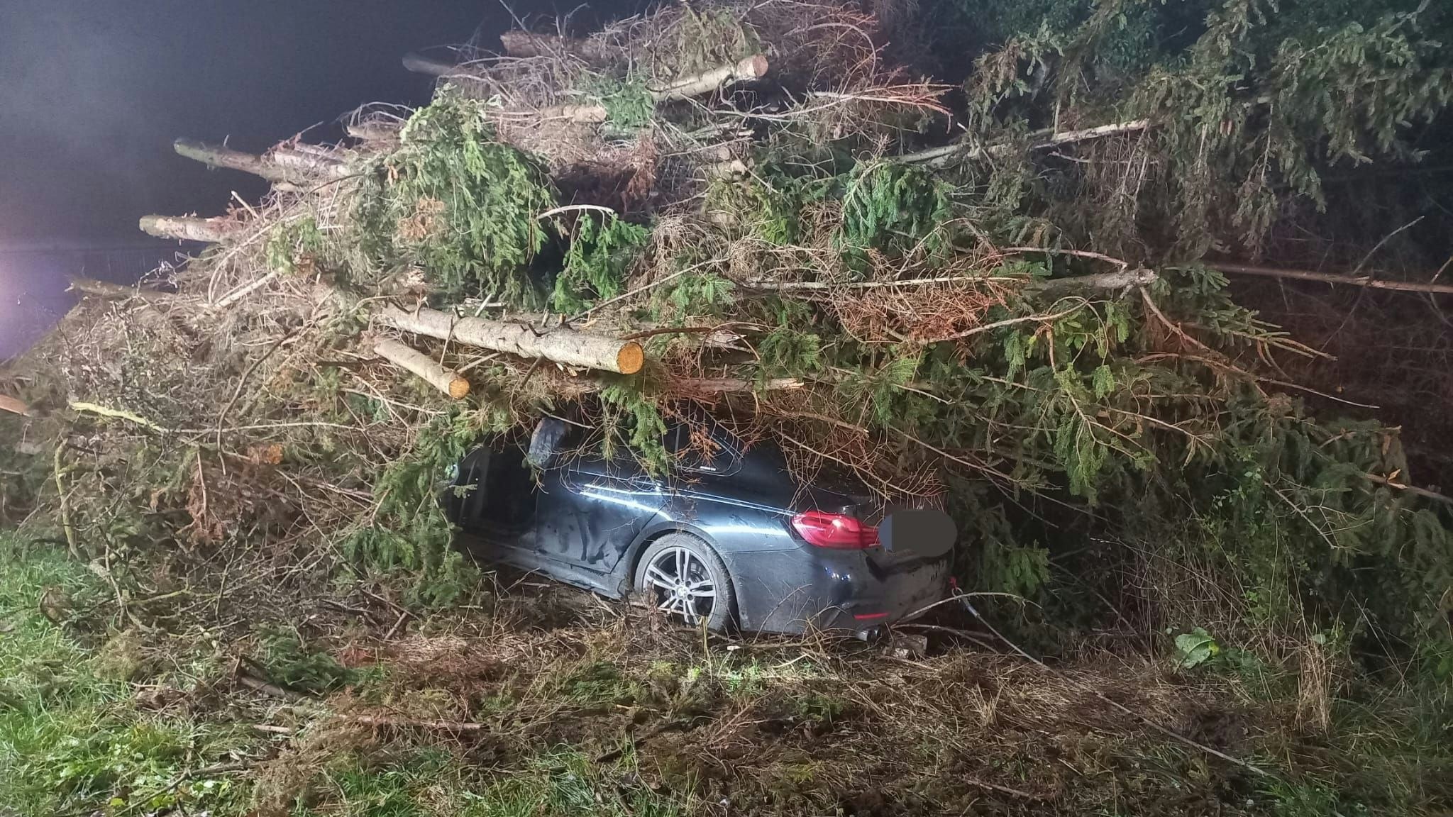 Crash gegen Holzhaufen