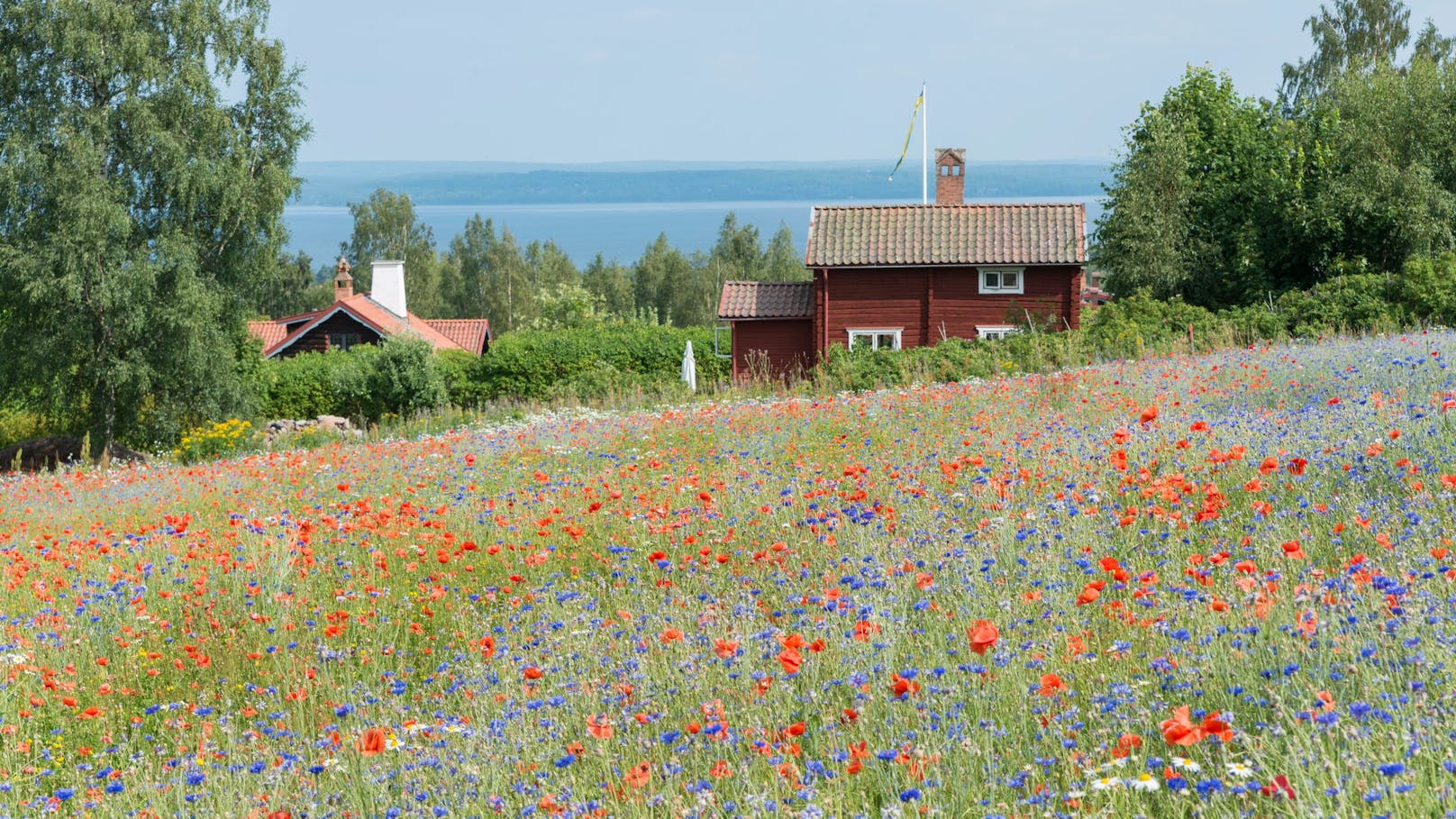 1. Schweden: Kreis Dalarna – 80 EUR (40 Prozent günstiger als im Juni)