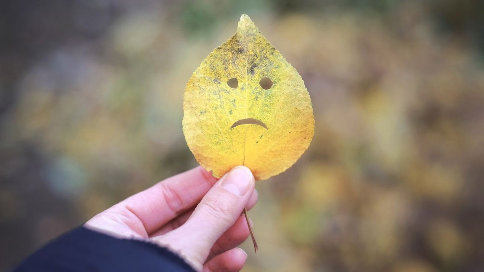 Herbstblues – das hilft gegen die schlechte Laune