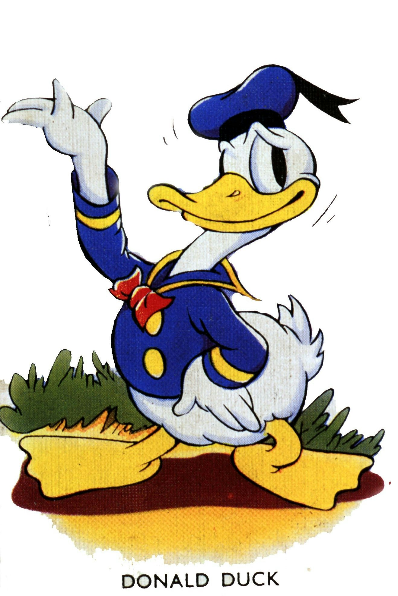 Ein "früher" Donald, etwa Mitte der 1930er-Jahre. Damals trat der Erpel vor allem in Zeichentrickfilmen auf, Comics kamen erst später