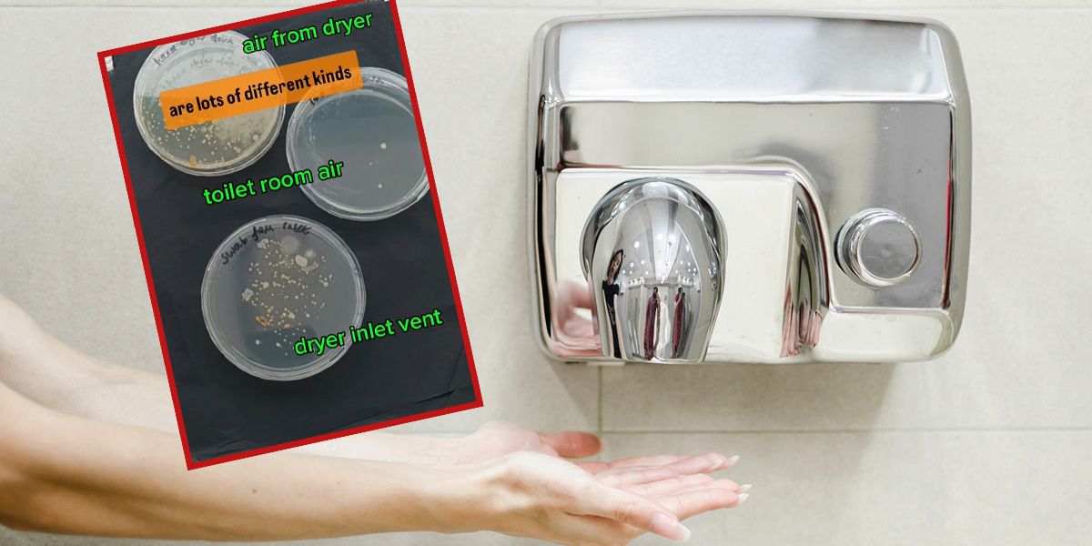 Ein Experiment einer Wissenschaftlerin auf TikTok zeigt, wie viele Bakterien in den Geräten lauern, die auf die frisch gewaschenen Hände gesprüht werden.