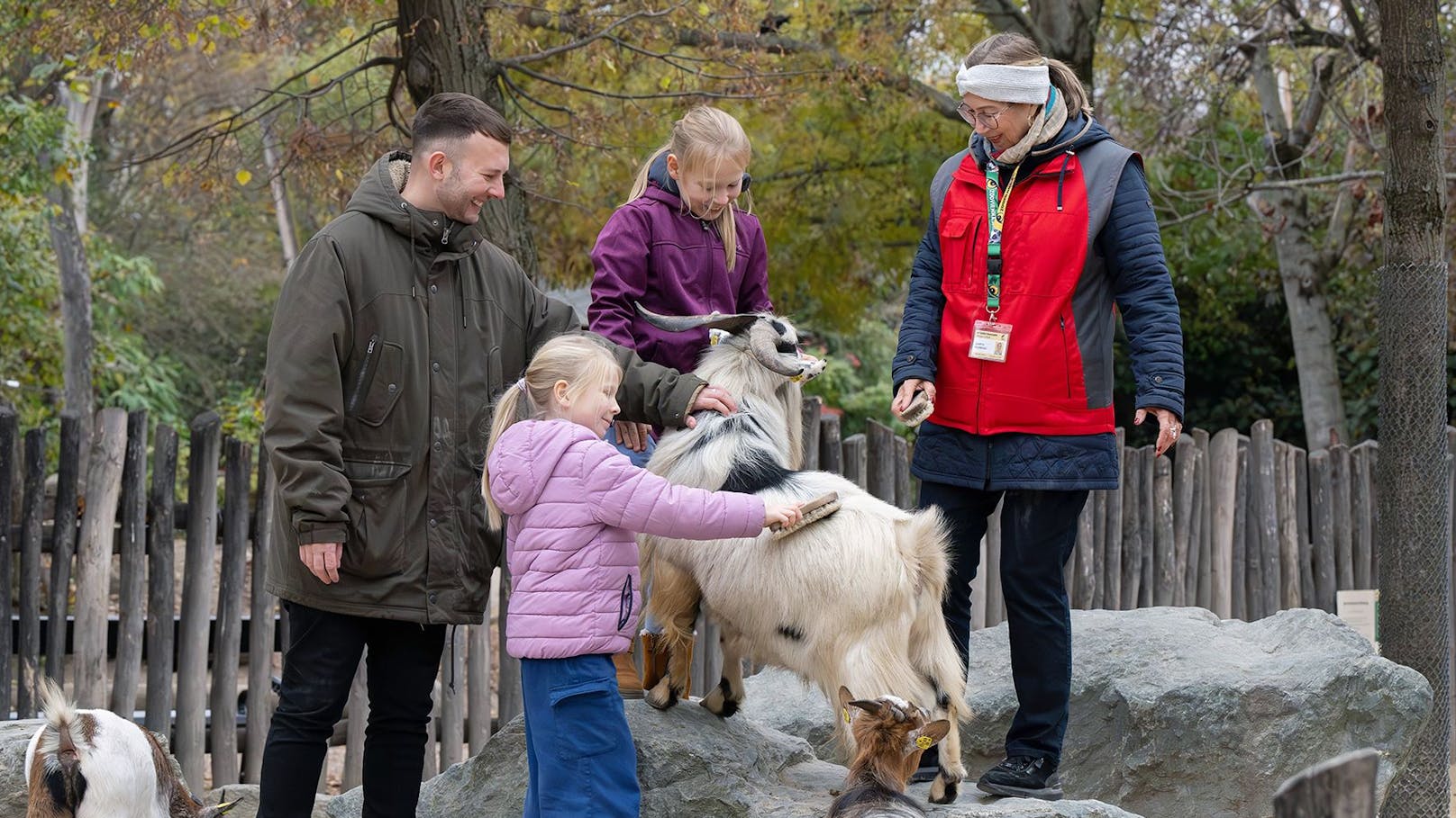 Du kannst im Tiergarten Schönbrunn jetzt mit anpacken