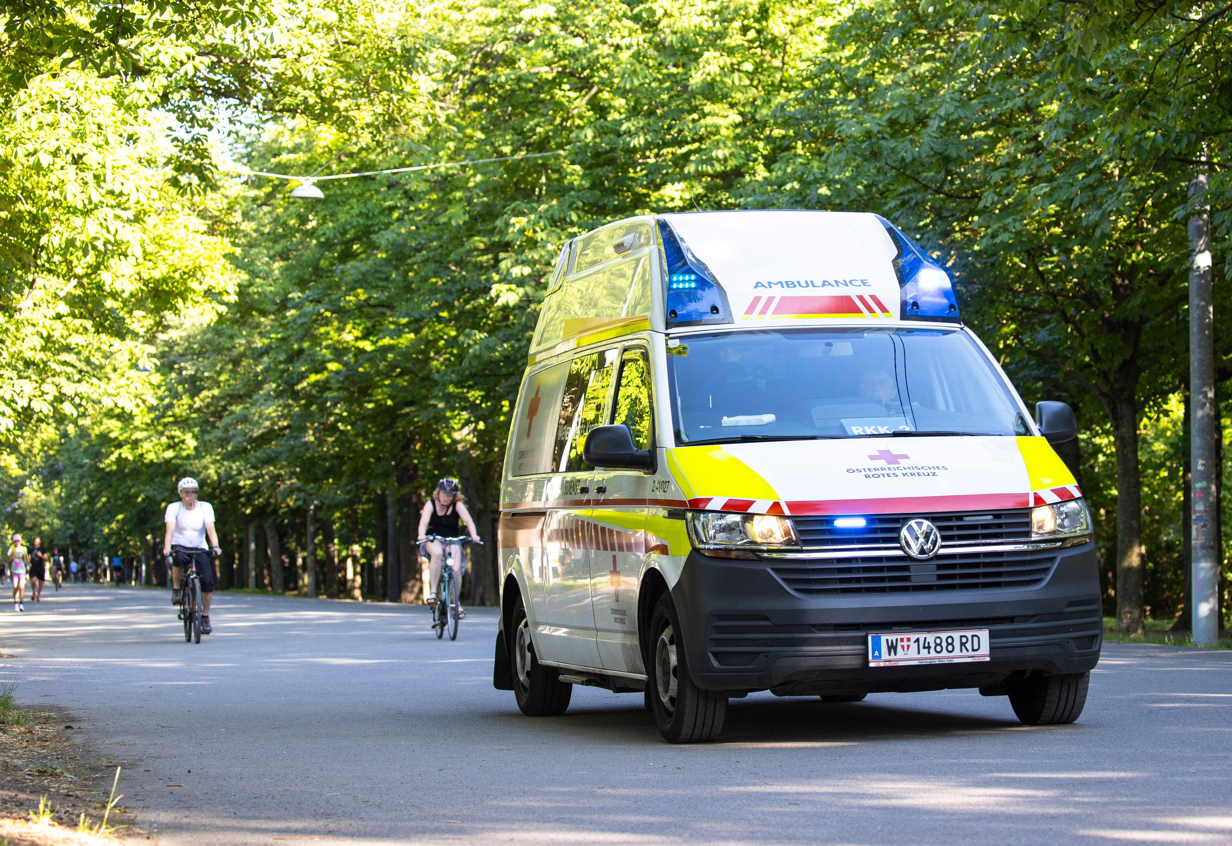 Die Verletzten wurden von der Rettung ins Spital gebracht. (Symbolbild)