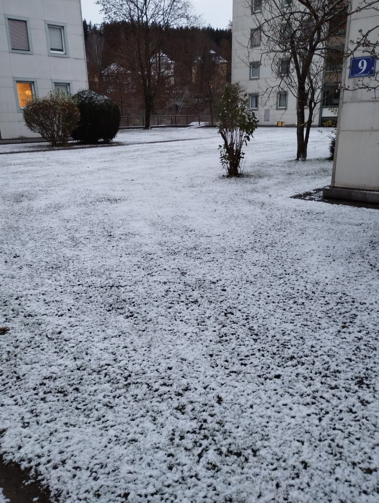 Für Winterfans ein schöner Anblick: Über Nacht fiel Schnee, viele Wiesen waren Donnerstagfrüh angezuckert, wie hier in Vöcklabruck.