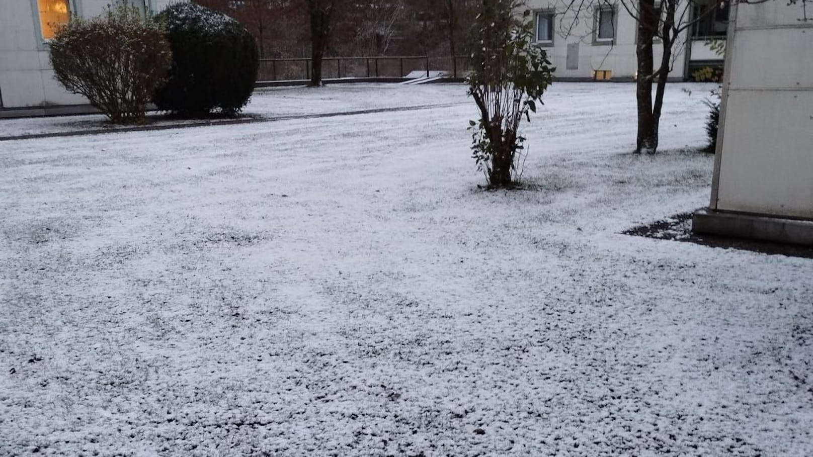 Für Winterfans ein schöner Anblick: Über Nacht fiel Schnee, viele Wiesen waren Donnerstagfrüh angezuckert, wie hier in Vöcklabruck.