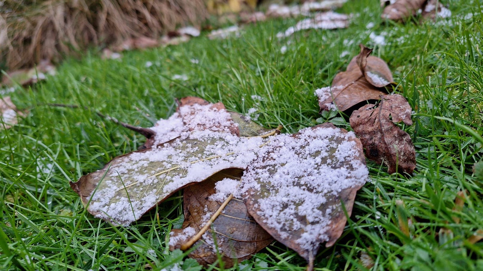 Der Neuschnee sorgte für malerische Momente.