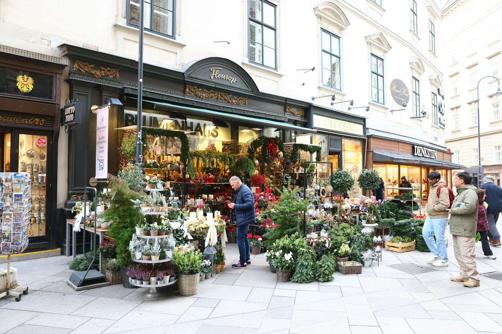 Zu bewundern ist der Adventkranz beim Blumenhaus zum Dom.