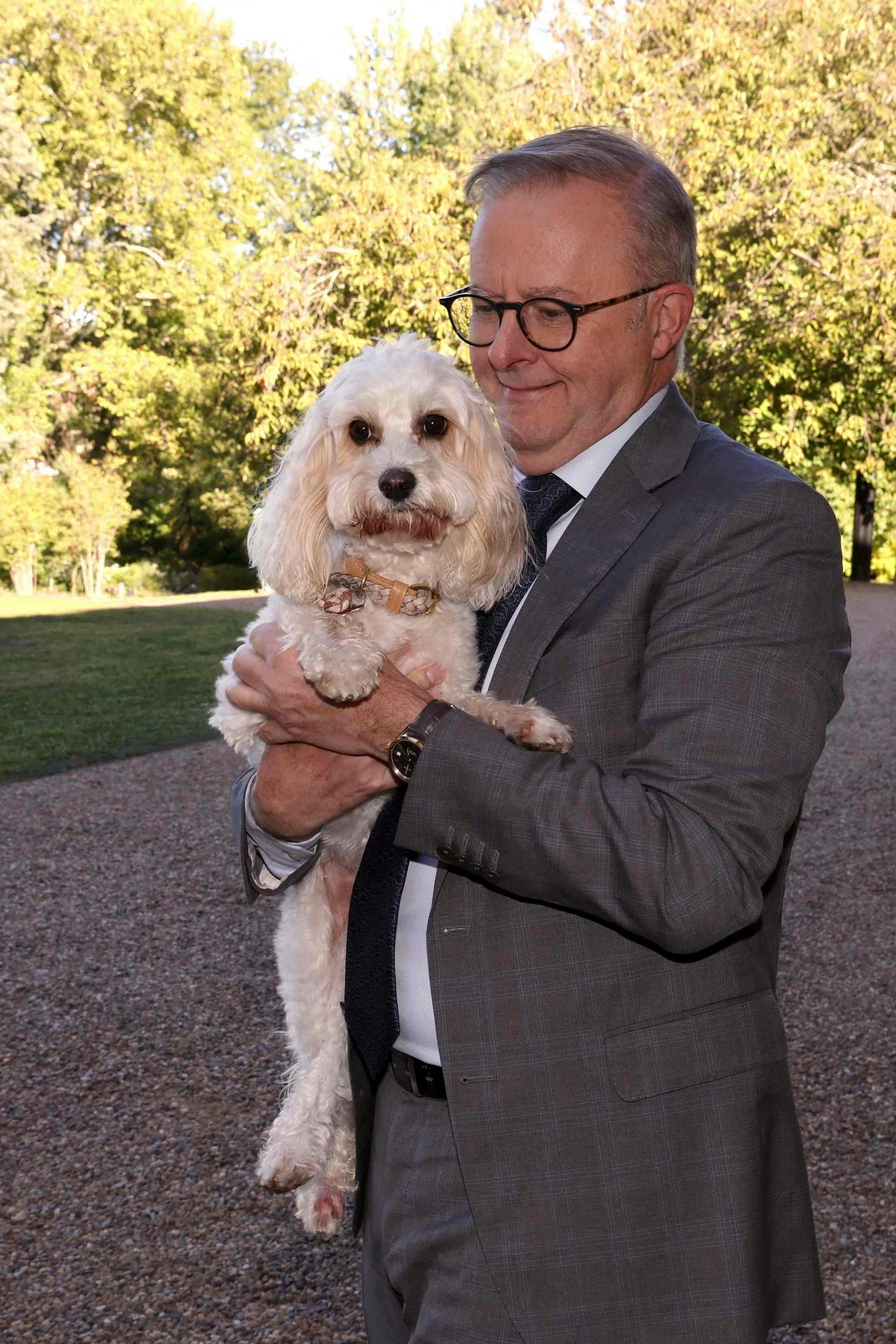 "Australische Kinder sollen eine Kindheit haben": Premierminister Anthony Albanese mit seinem Hund Toto