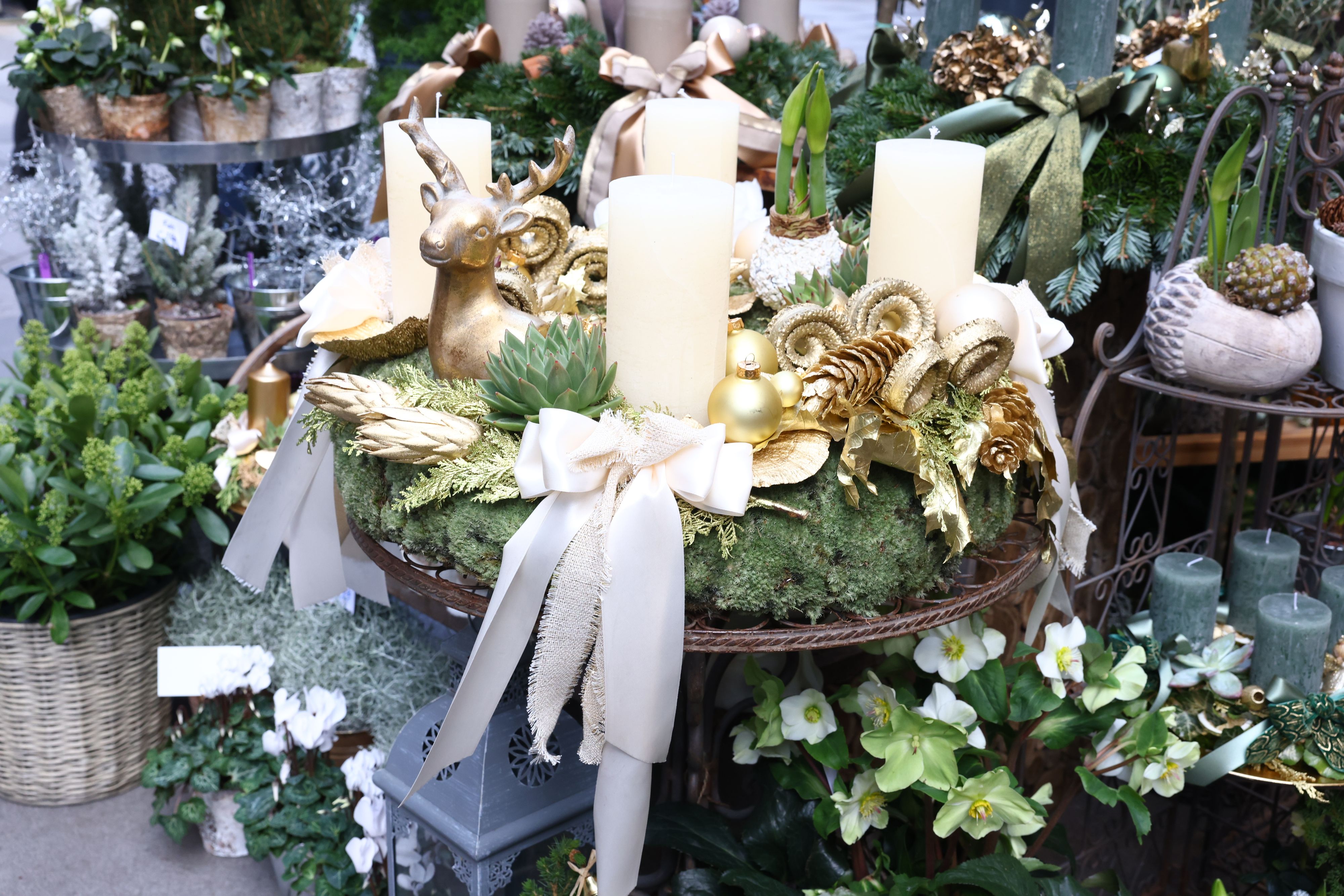 Rund 600 Euro kostet dieser XXL-Adventkranz im Blumenhaus gegenüber dem Steffl.