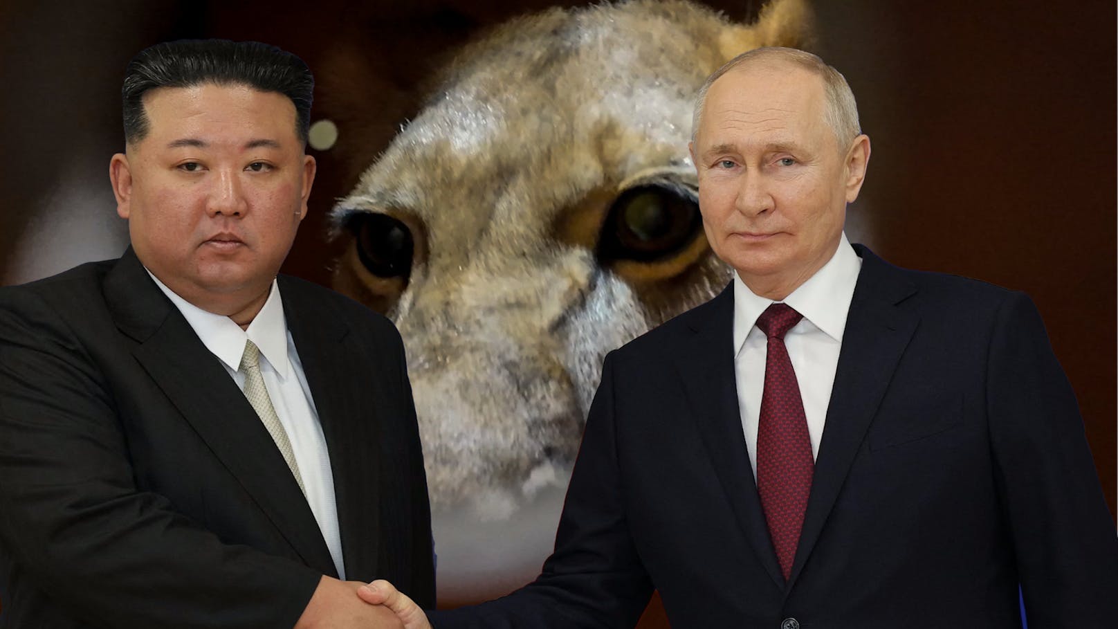 Putin schenkt Nordkorea Bären, Kakadus und einen Löwen