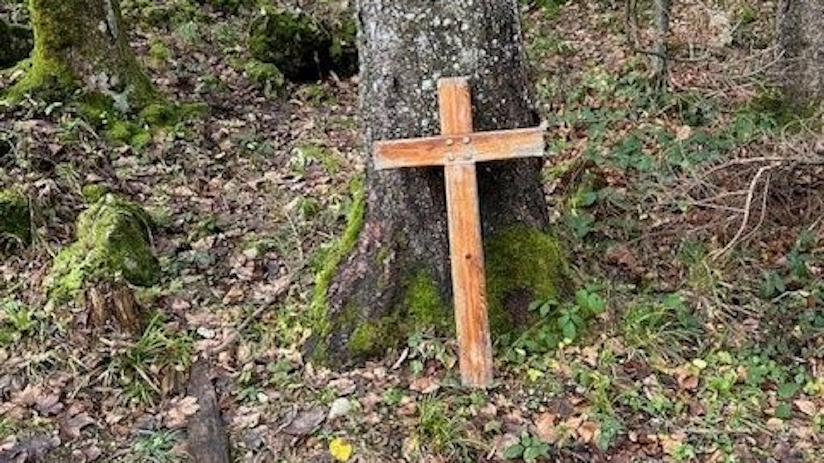 Dieses Kreuz war am Gipfel des Lärlkogels in Traunkirchen (Bez. Gmunden) befestigt.