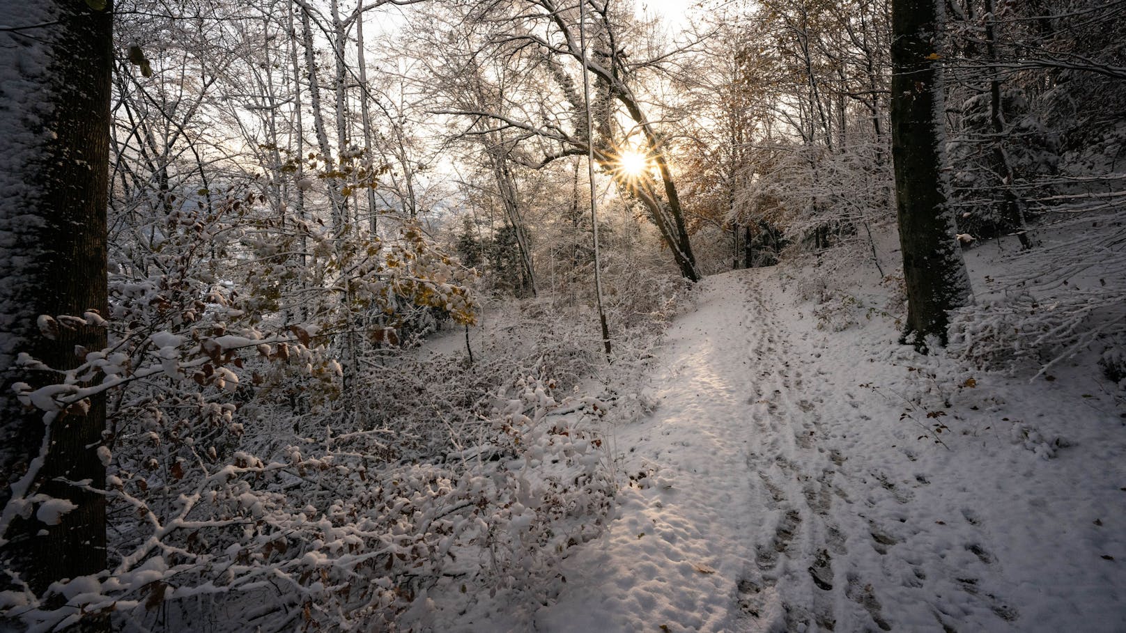 Die Mauern und Wege am Mönchsberg.