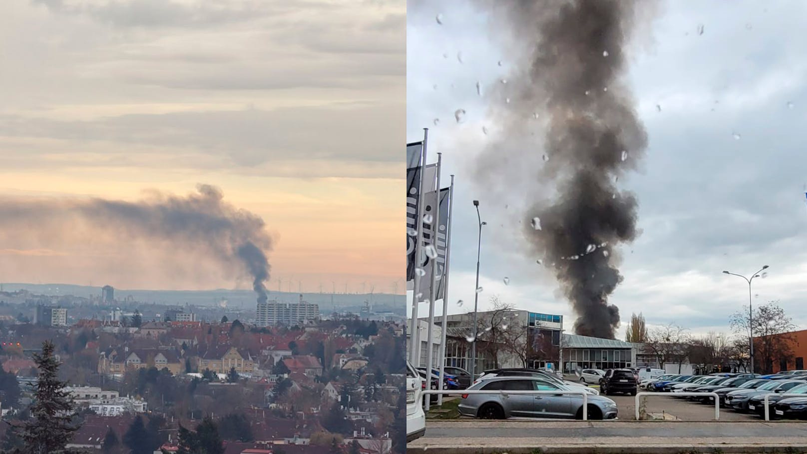 Feuer in bekanntem Autohaus — mehrere BMWs abgefackelt