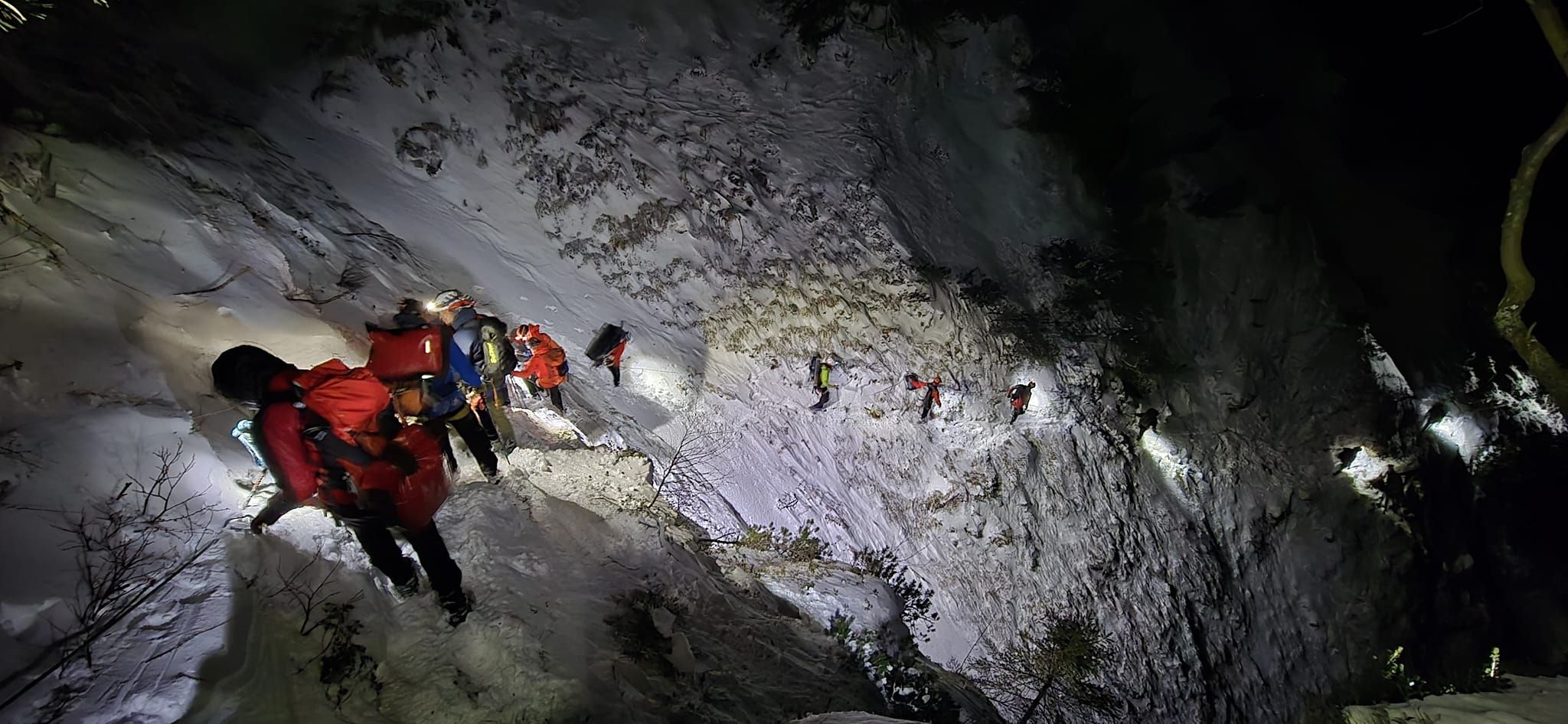 Die Bergrettungen Bad Goisern und Bad Ischl konnten die Touristin (18) im steilen Gelände retten.