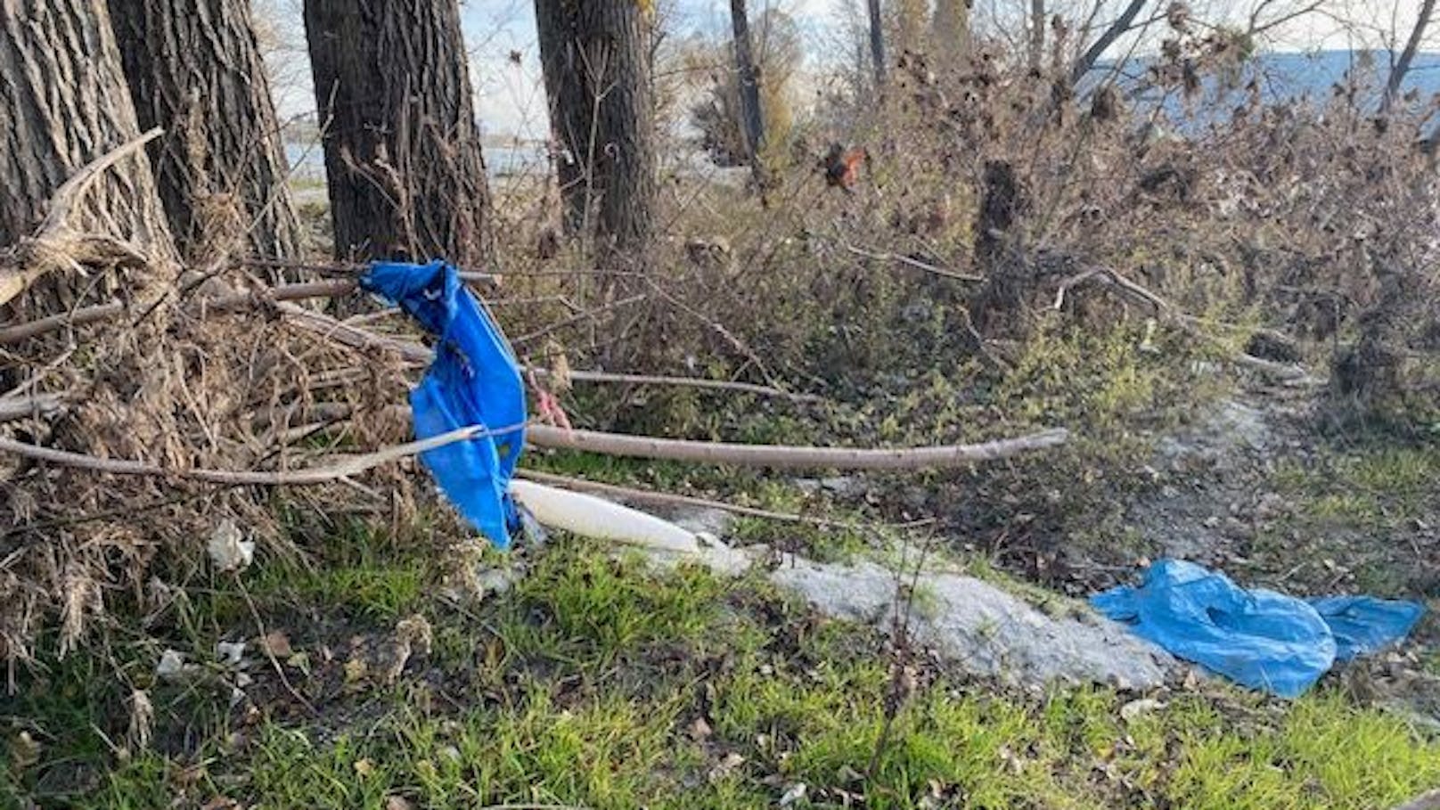 Das Hochwasser spülte Unmengen Müll ans Ufer der Pionierinsel in Klosterneuburg. Auch Wochen nach der Naturkatastrophe ist das Ufer noch gesäumt von Schrott und Plastik.