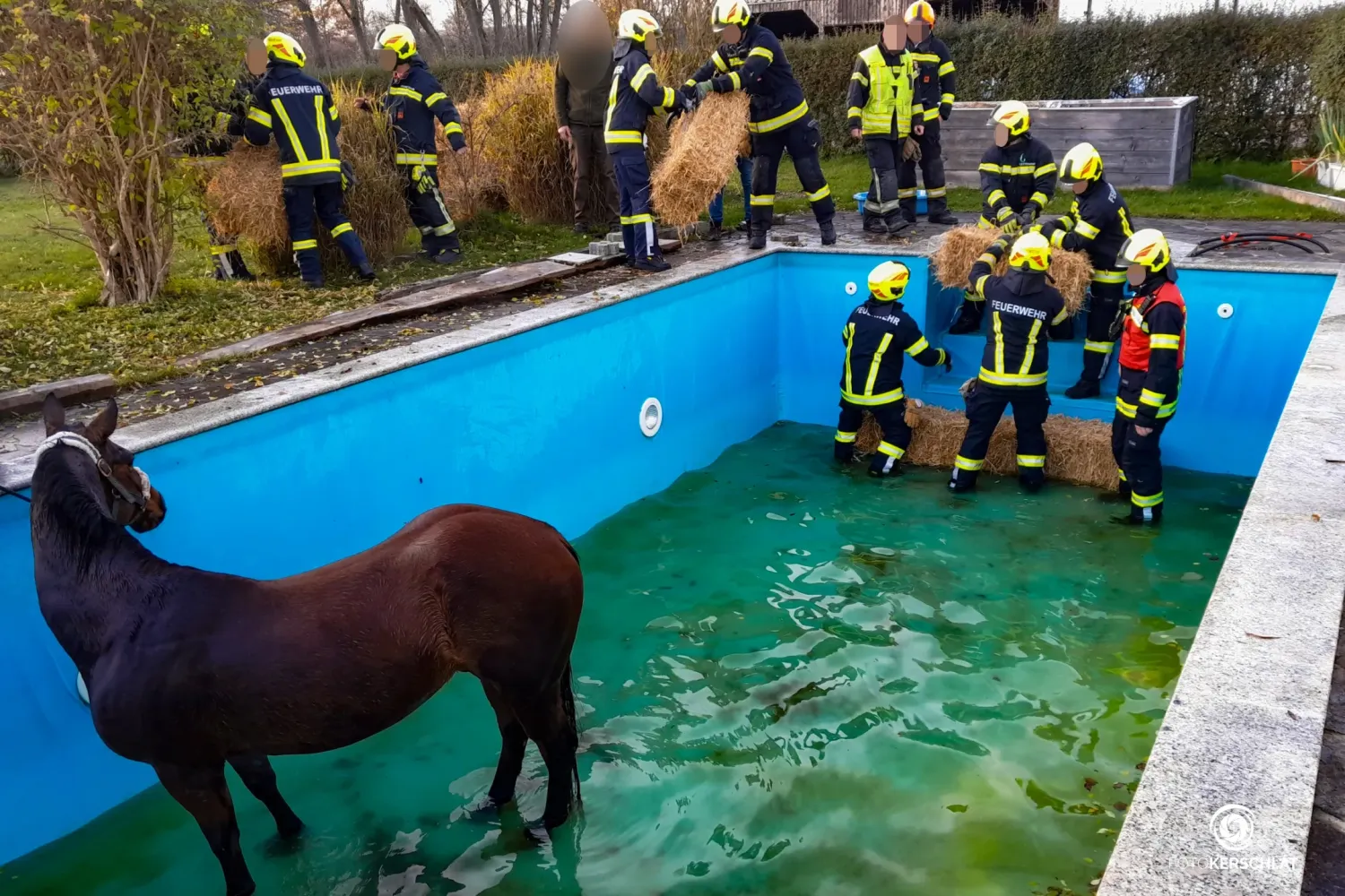 Hatten eine gute Idee: die Feuerwehrler in Pucking (Bez. Linz-Land).